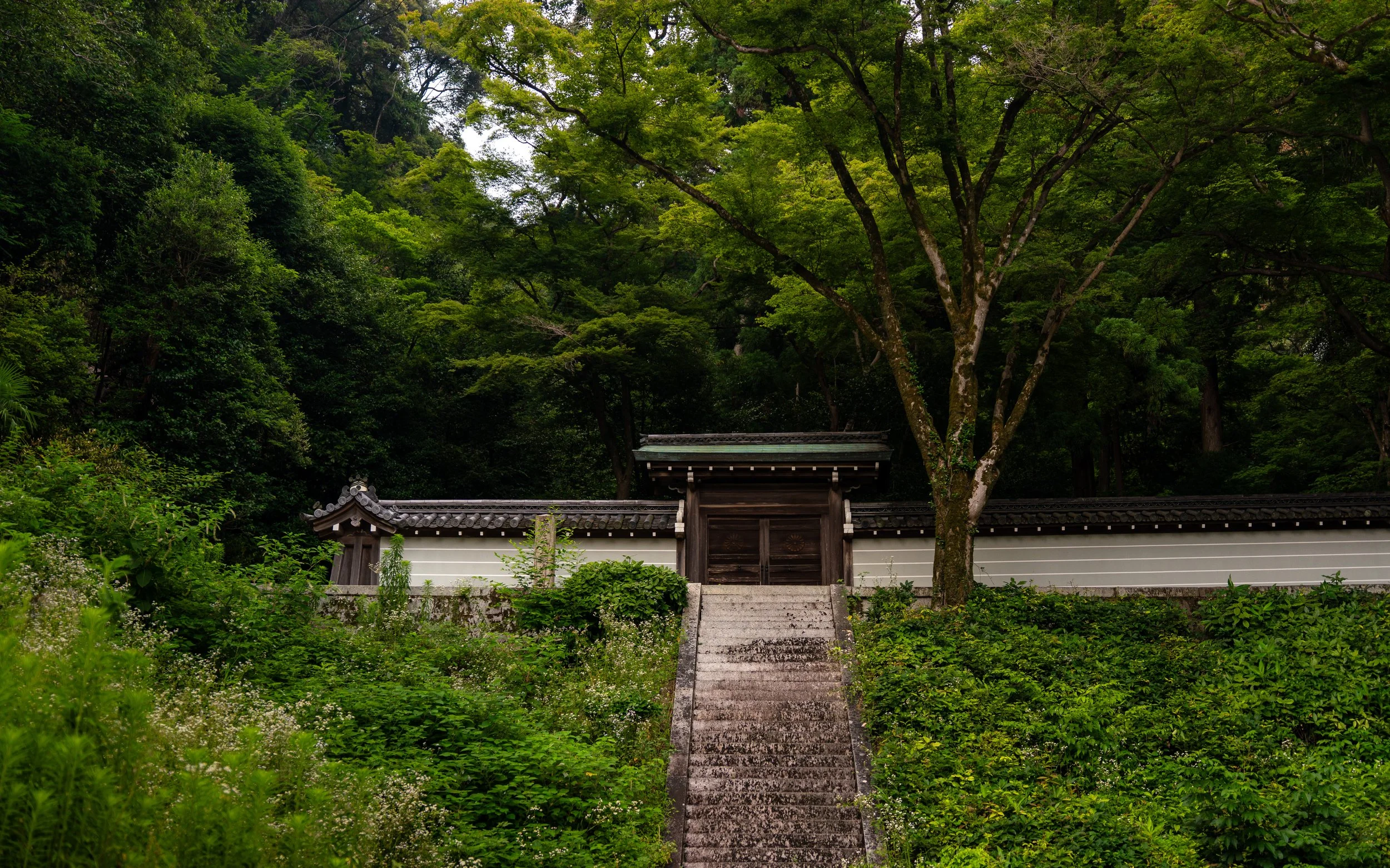 A traditional Japanese wooden gate with a tiled roof, set amidst lush green trees and plants, with stone steps leading up to it.