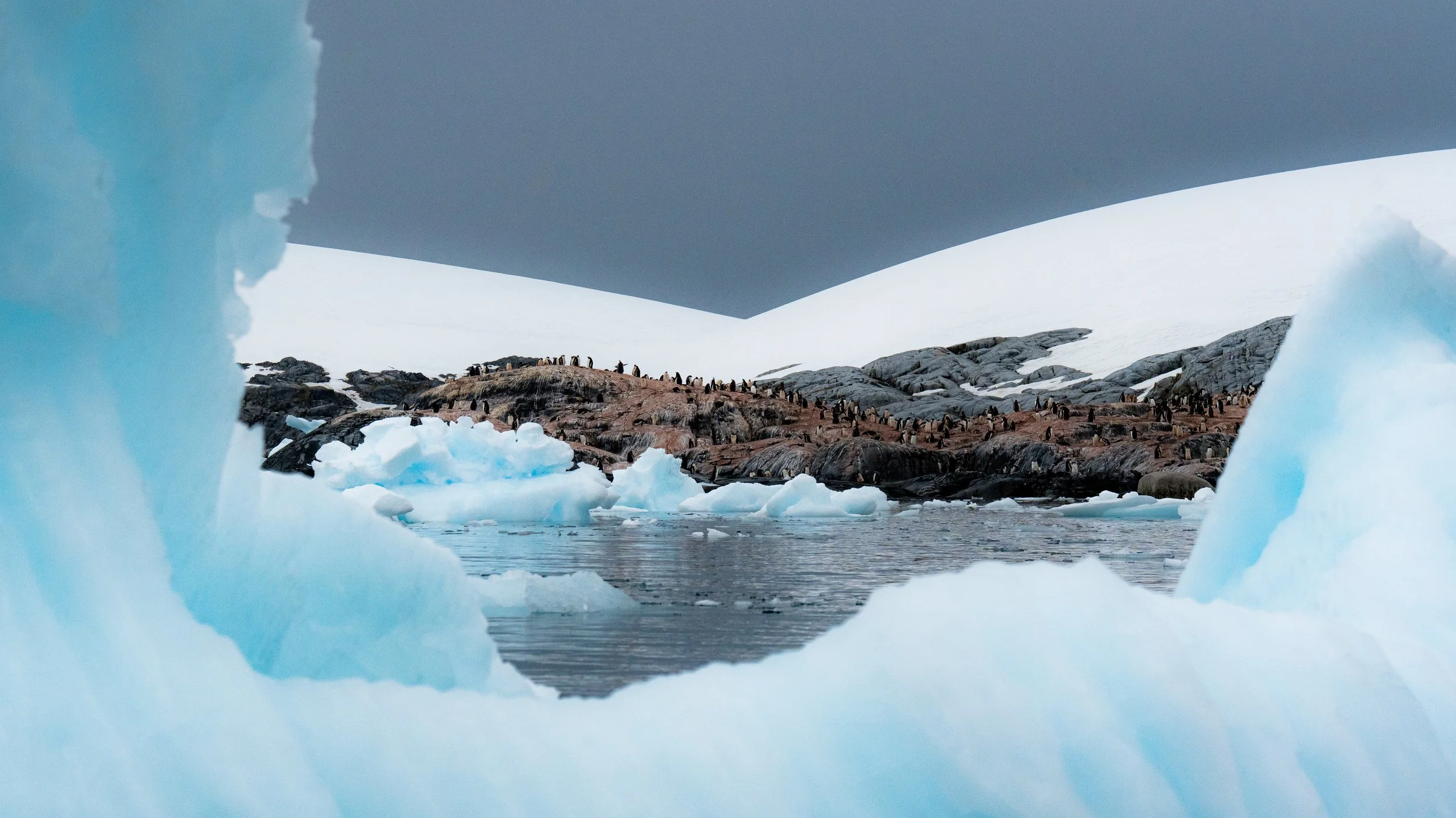 Penguins standing on a rocky terrain surrounded by ice and snow in an Antarctic landscape.