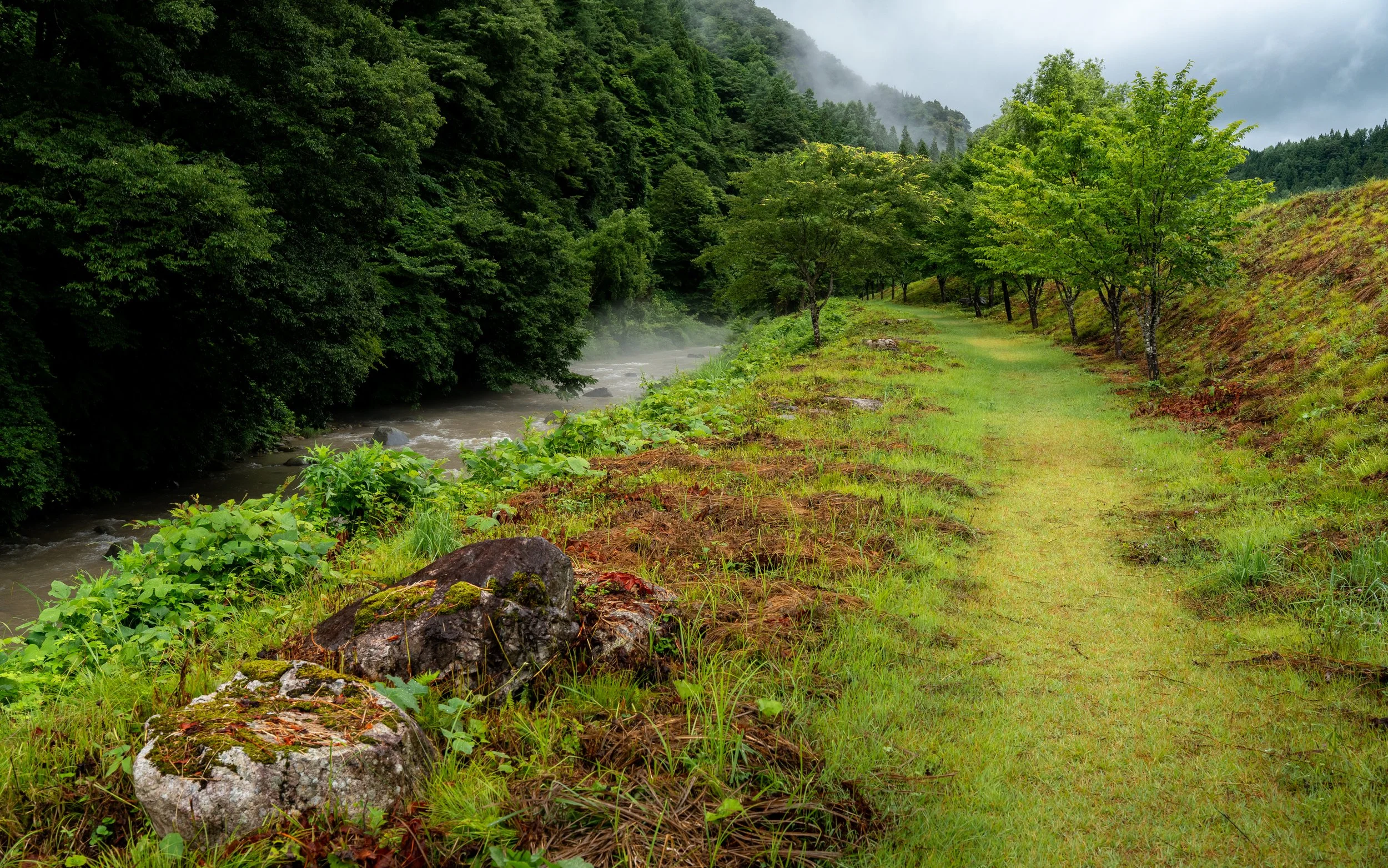 A lush green landscape with a river on the left, surrounded by dense trees and a grassy pathway on the right, with mist or fog in the background.