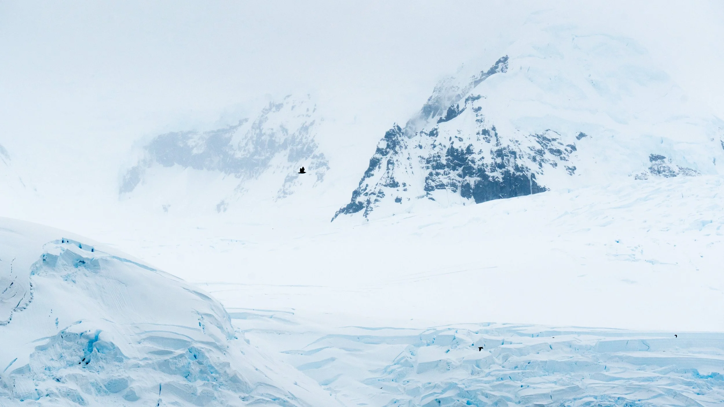 Snow-covered mountains with a lone bird flying in the cloudy sky.