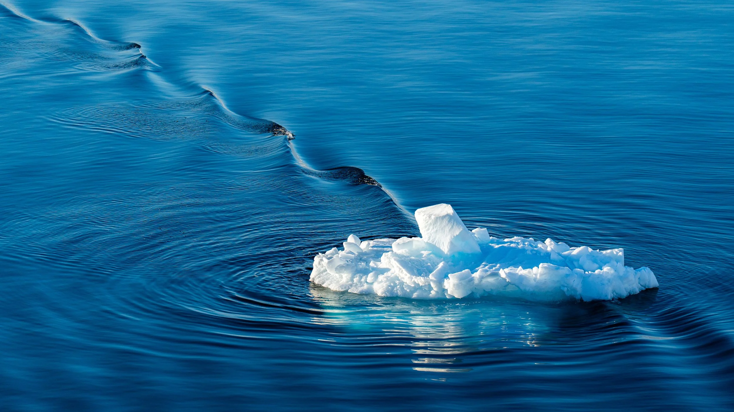 A large iceberg in icy blue water with a small chunk of ice at the foreground and a slight wake from a boat moving through the water.
