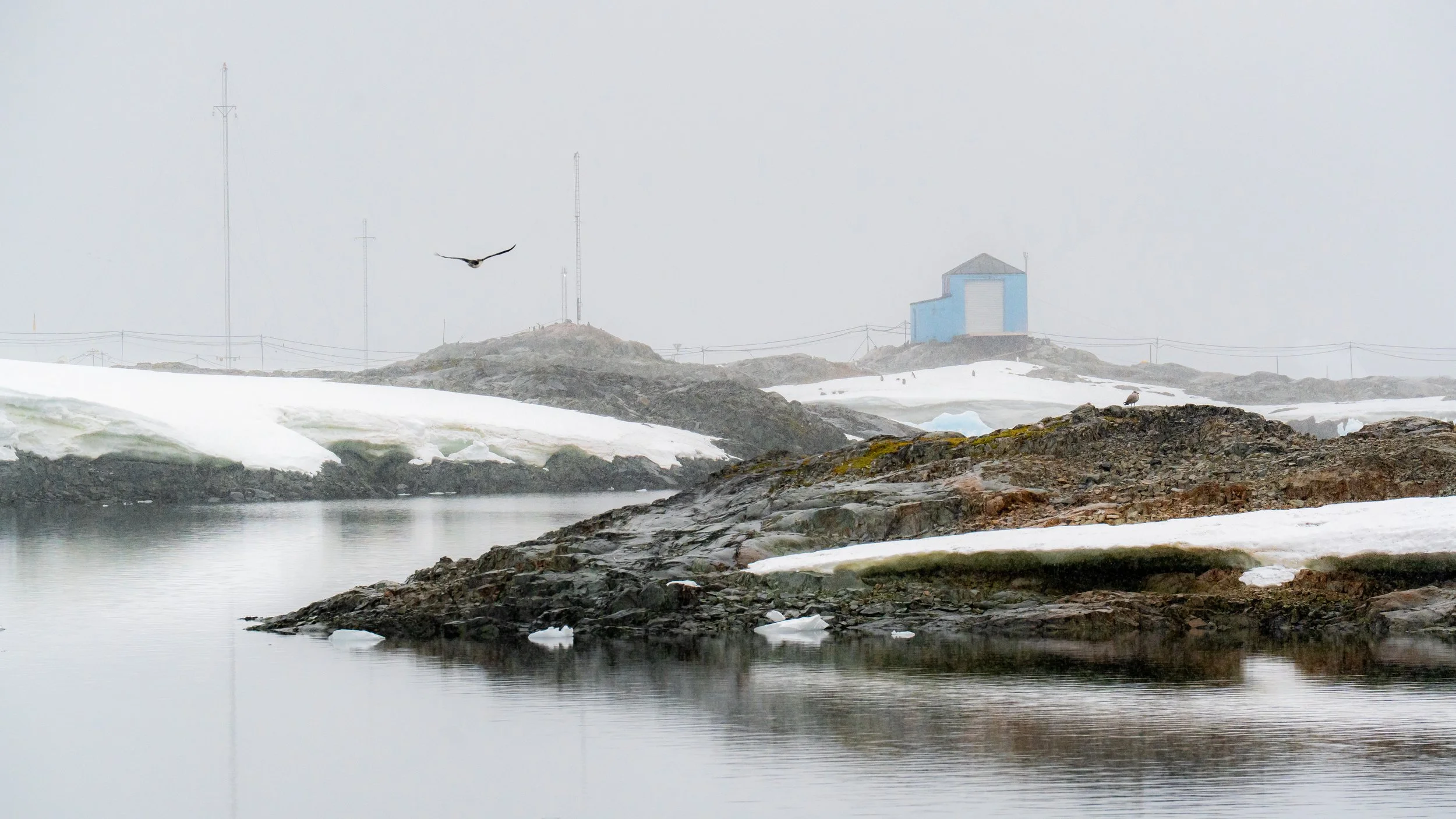 A foggy, snowy landscape featuring a calm body of water in the foreground, rocky terrain, and patches of snow. In the background, there are several tall communication towers and a small blue building on a hill. A bird is flying over the water, and an