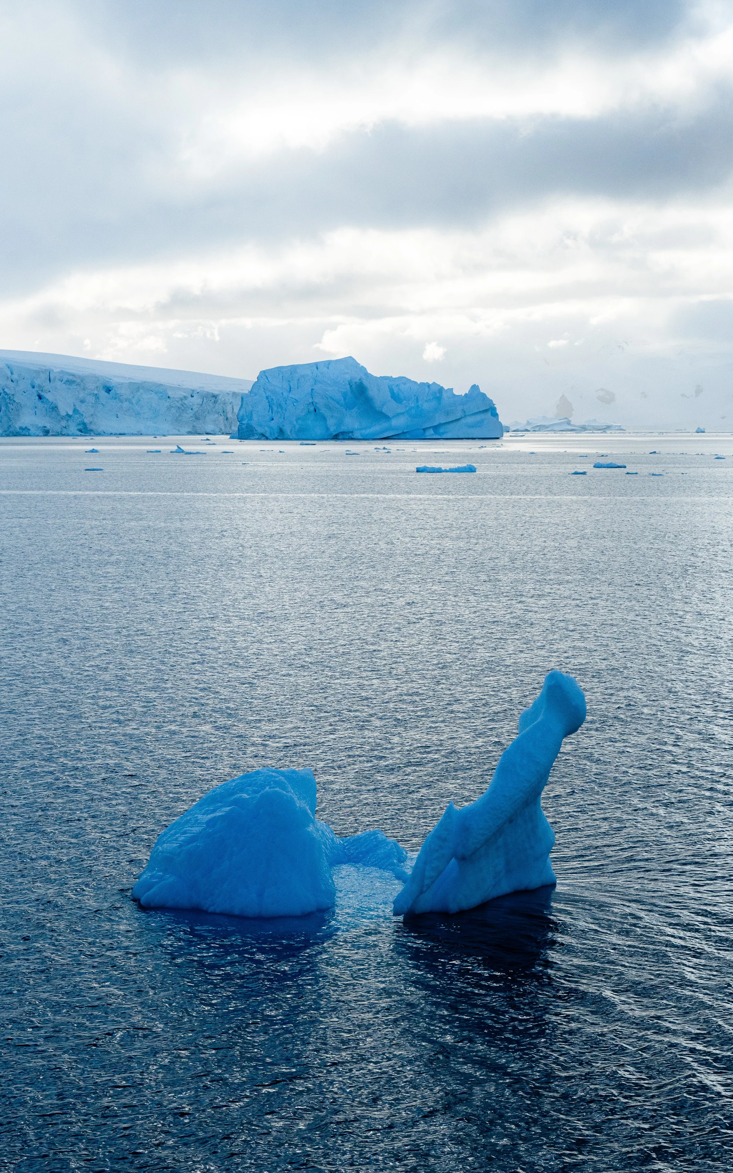 Icebergs floating in the ocean with a large iceberg and cloudy sky in the background.
