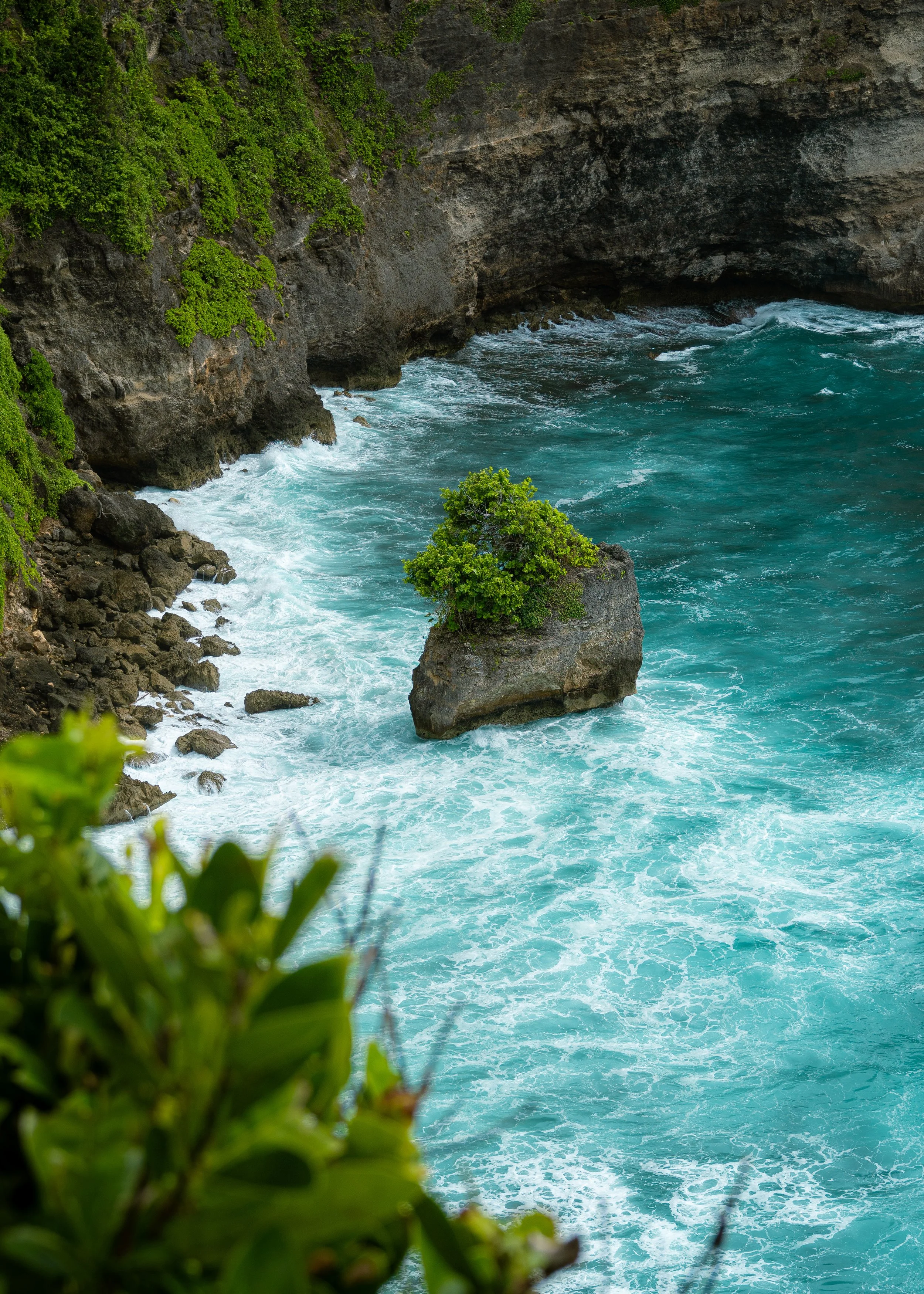 Cliffside with vibrant green foliage overlooking turbulent turquoise water with large rocks and a small tree growing on a rock in the ocean.