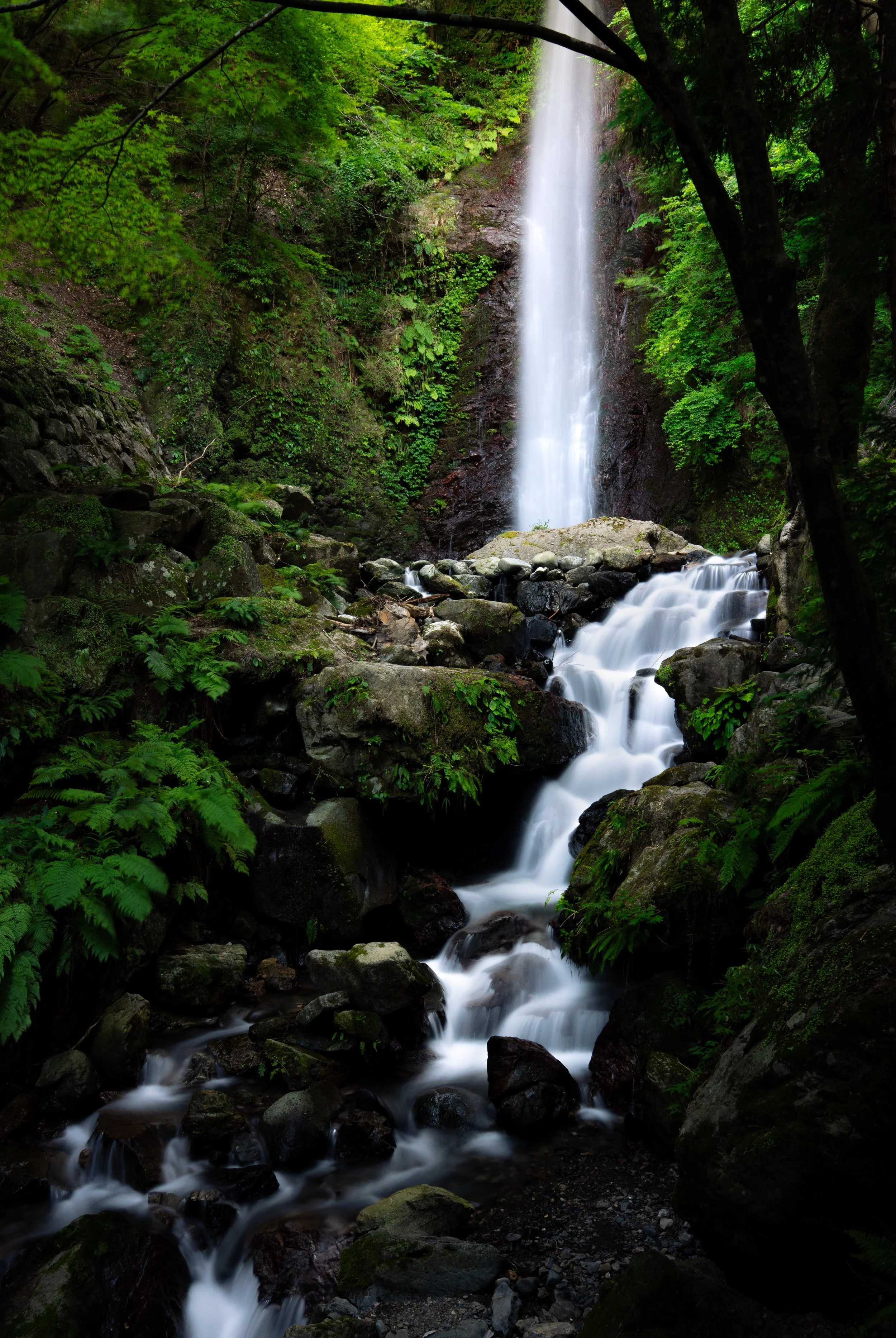 A waterfall cascading down a rocky cliff surrounded by lush green trees and foliage, with a stream flowing over rocks at the base.