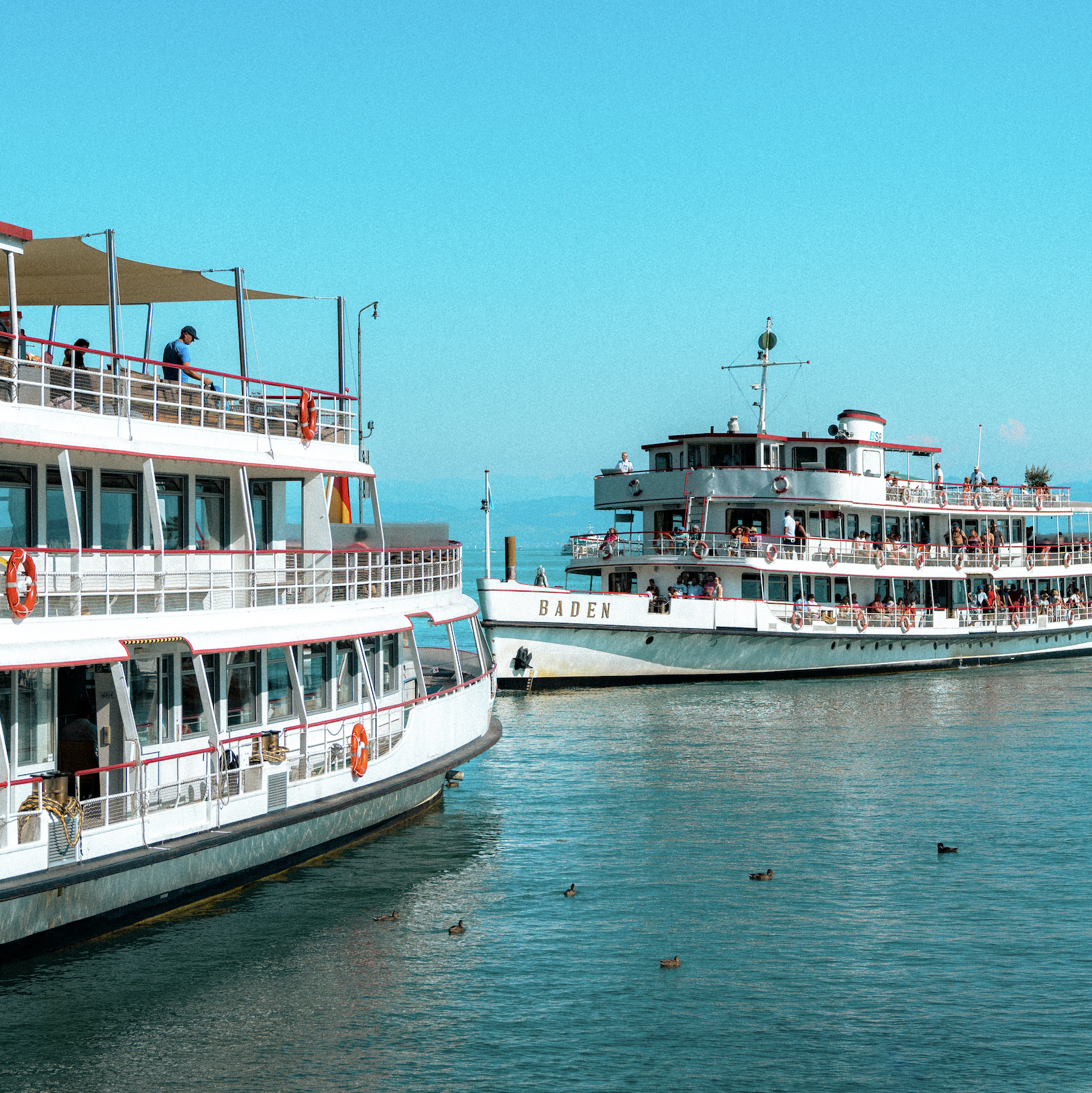 Two large white passenger ships docked at a marina with people on decks, blue sky, and water with ducks swimming.