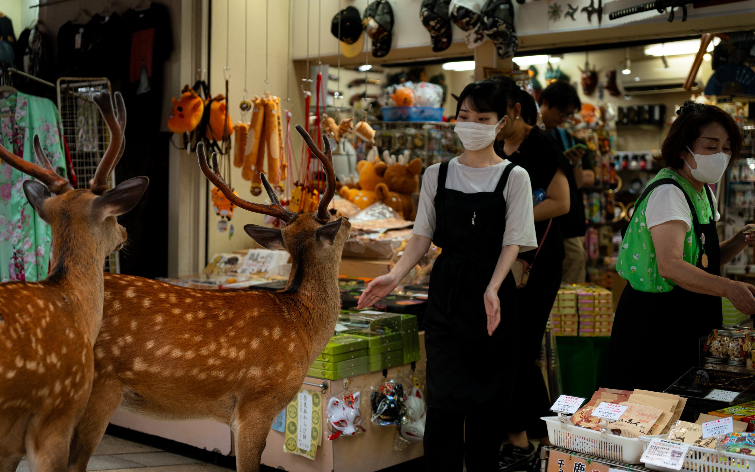 Two deer figurines with antlers displayed in a store with shelves of various plush toys and accessories, and several shoppers, including women wearing masks, browsing the items.