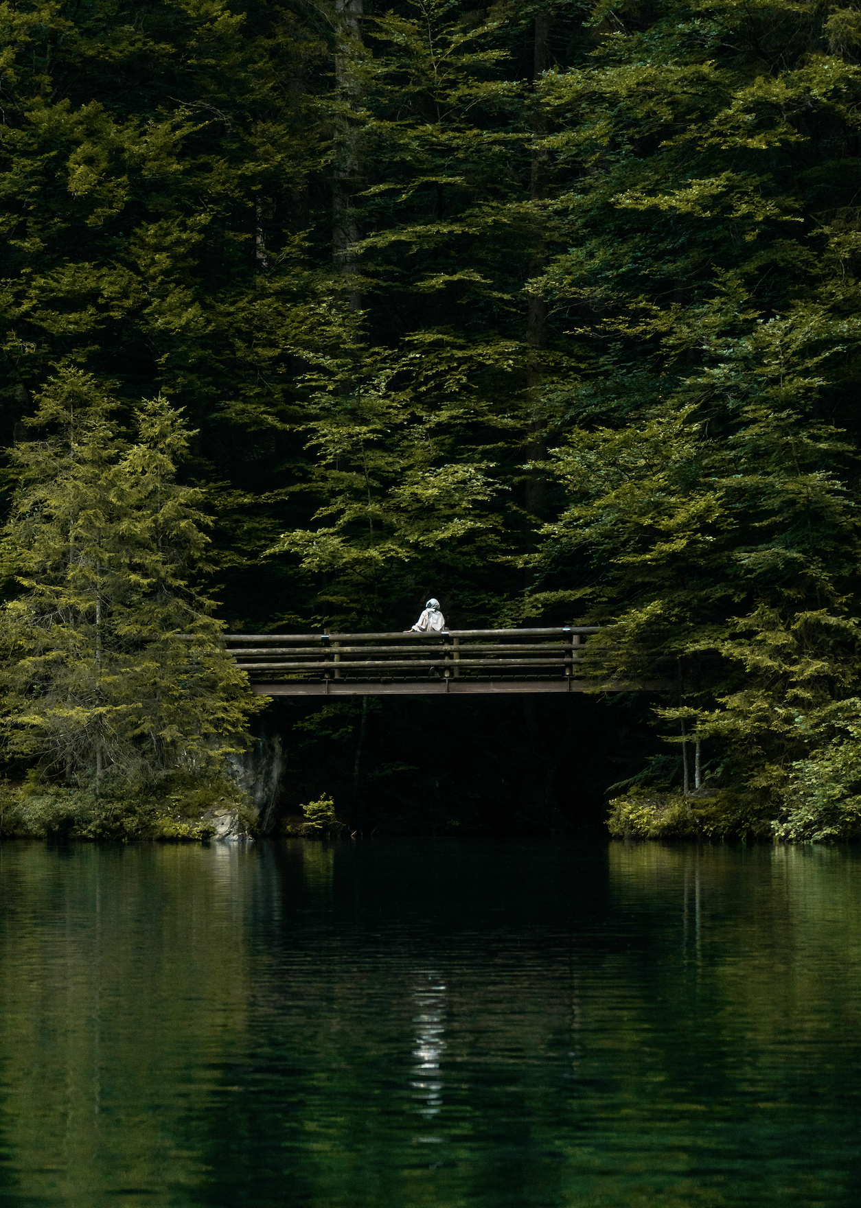 Person sitting on a wooden bridge over a body of water, surrounded by dense green forest.