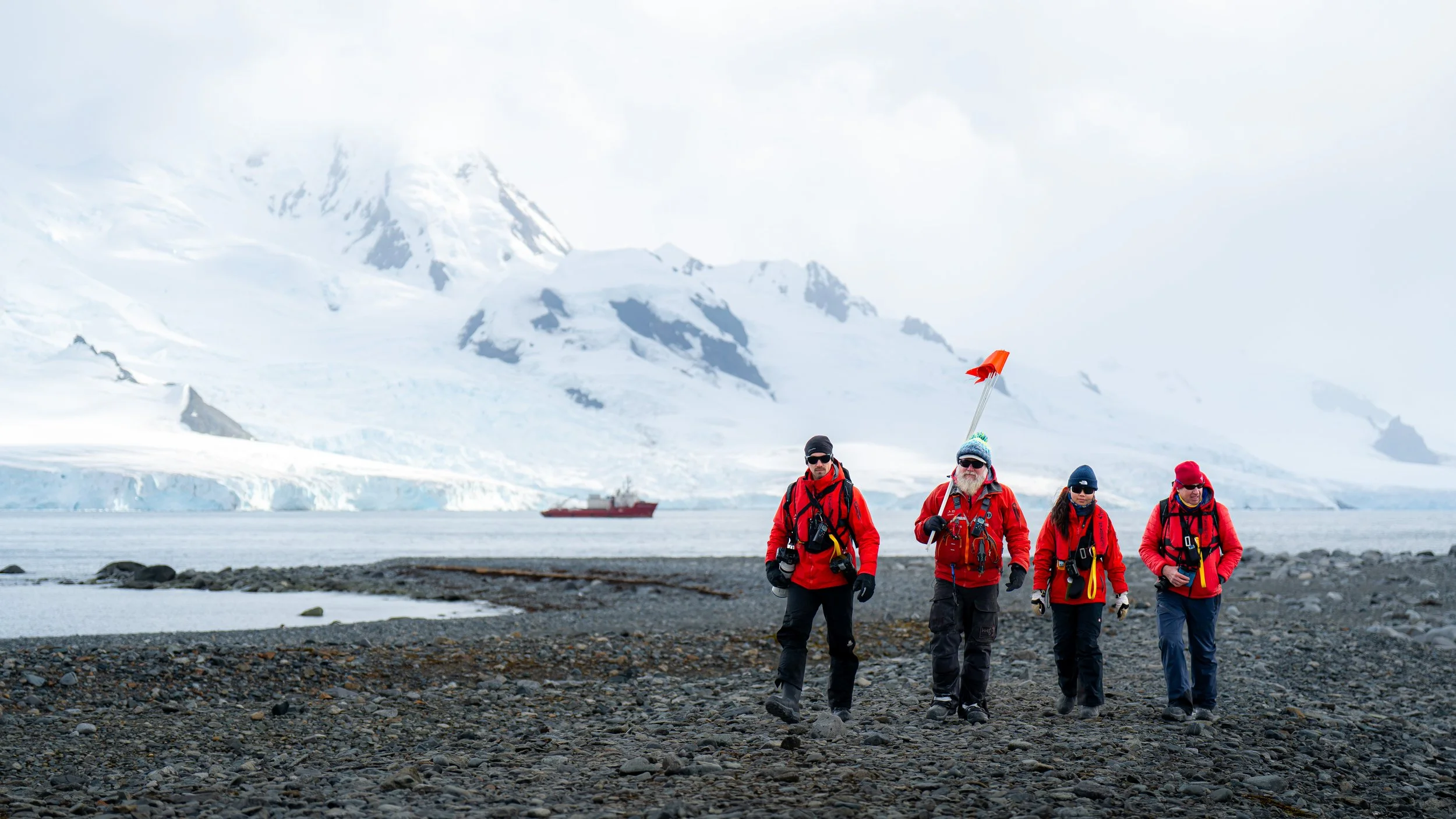 Group of four explorers walking on rocky shore in icy, mountainous landscape with snow-covered peaks and a distant ship.