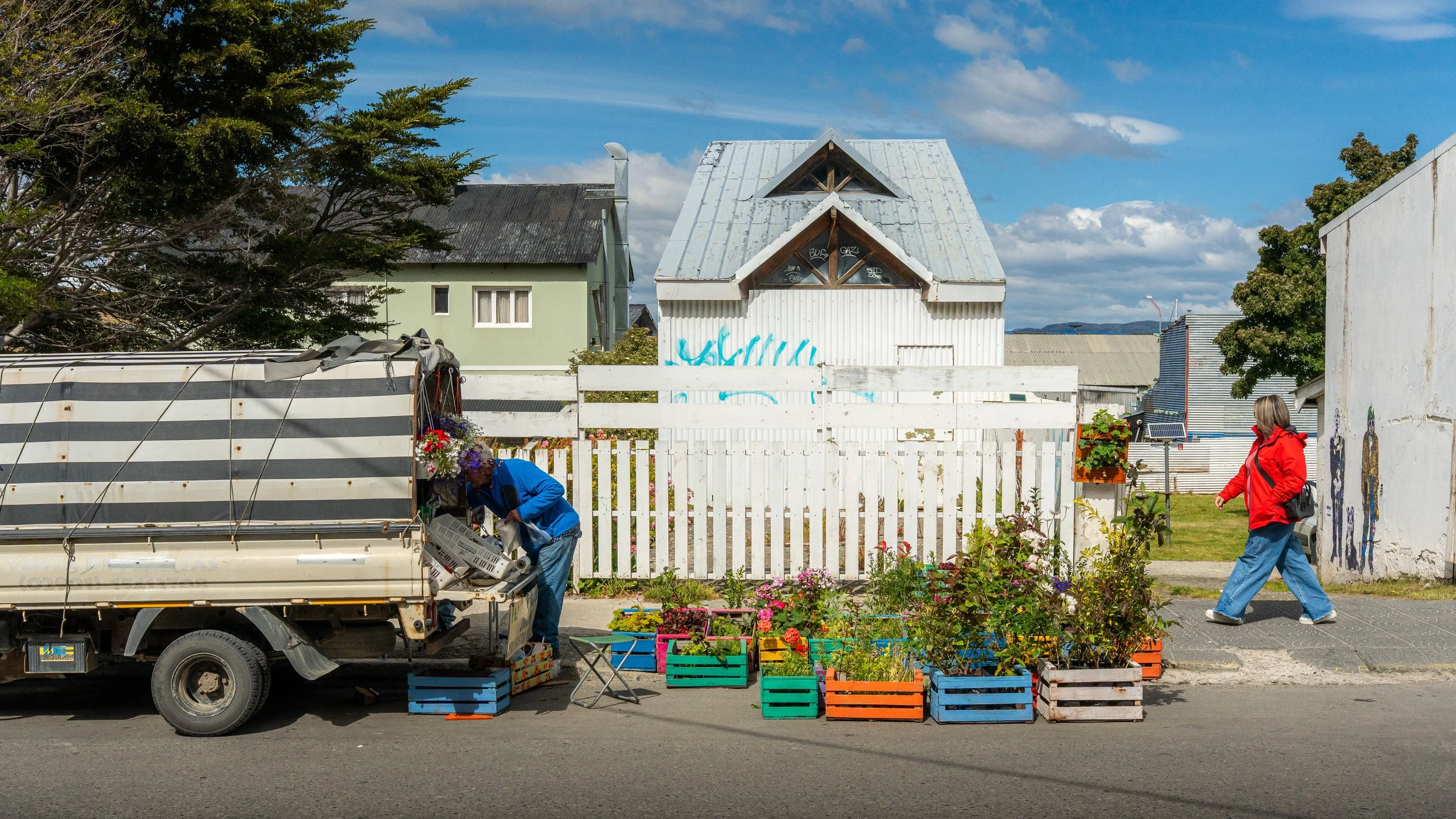 People selling flowers and plants at an outdoor market in front of a white fence and houses, with a blue sky and scattered clouds overhead.