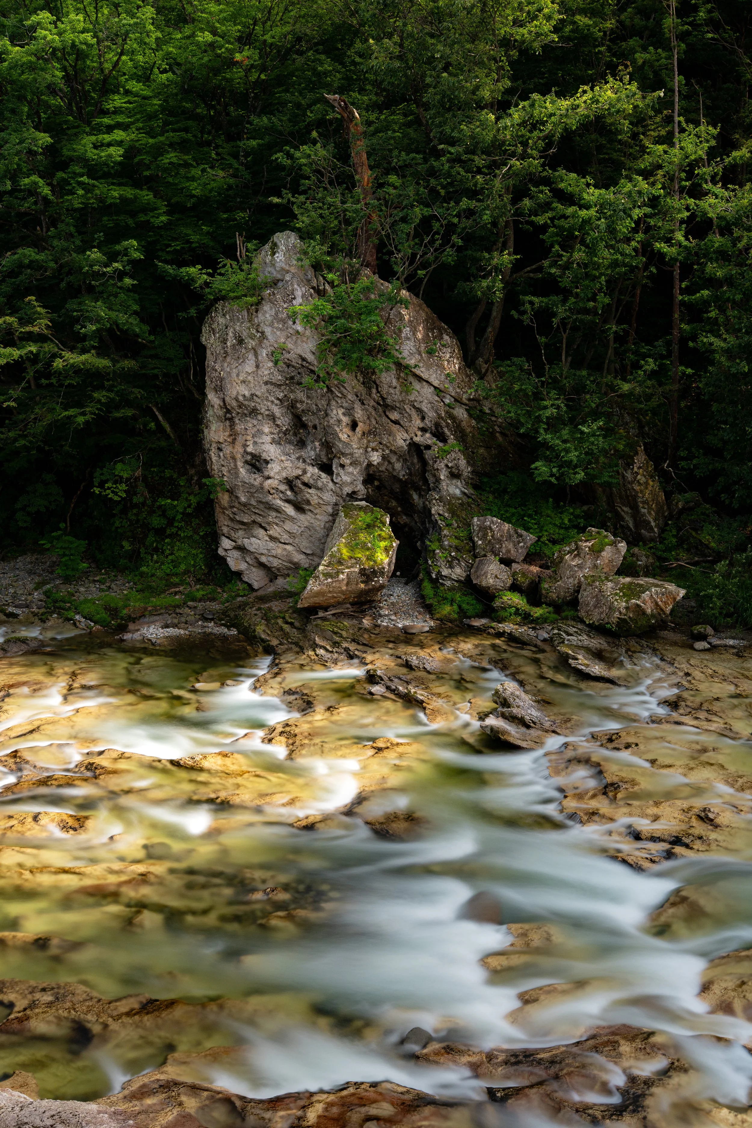 Flowing river water with rocks and a large boulder in front, dense green forest in the background.