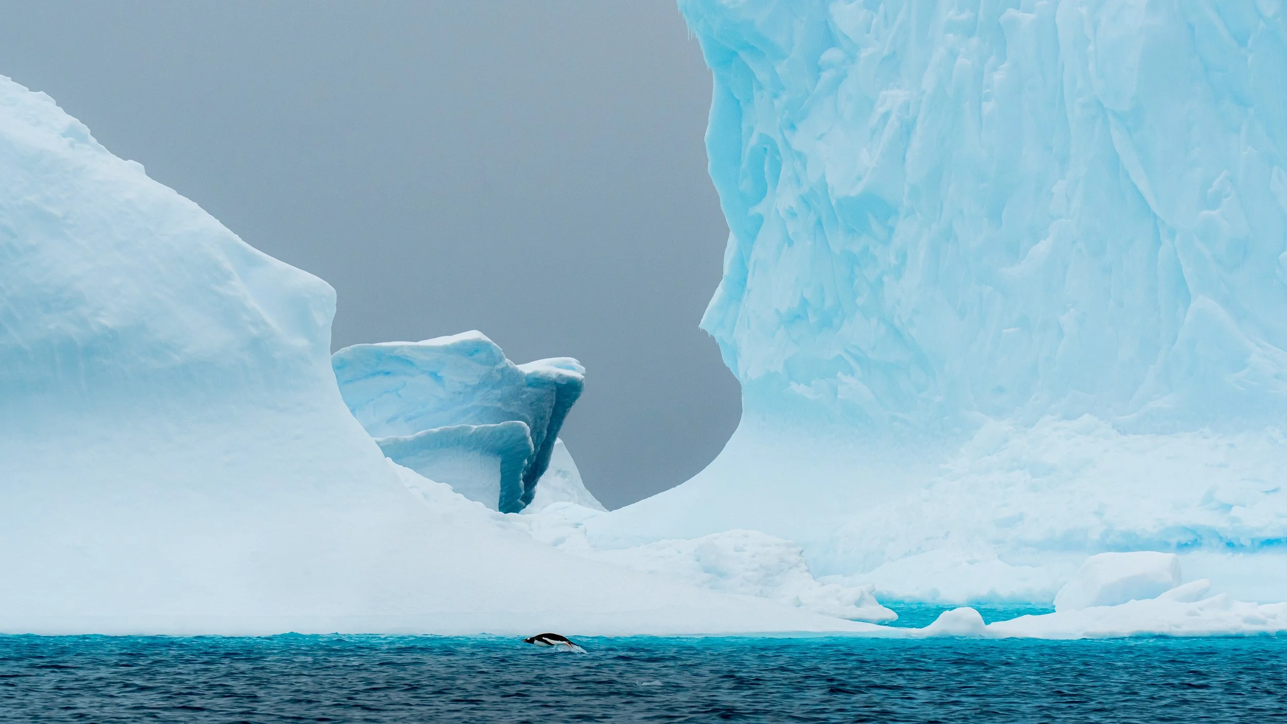 A large iceberg floating in the ocean with a penguin swimming near it, set against a gray sky.