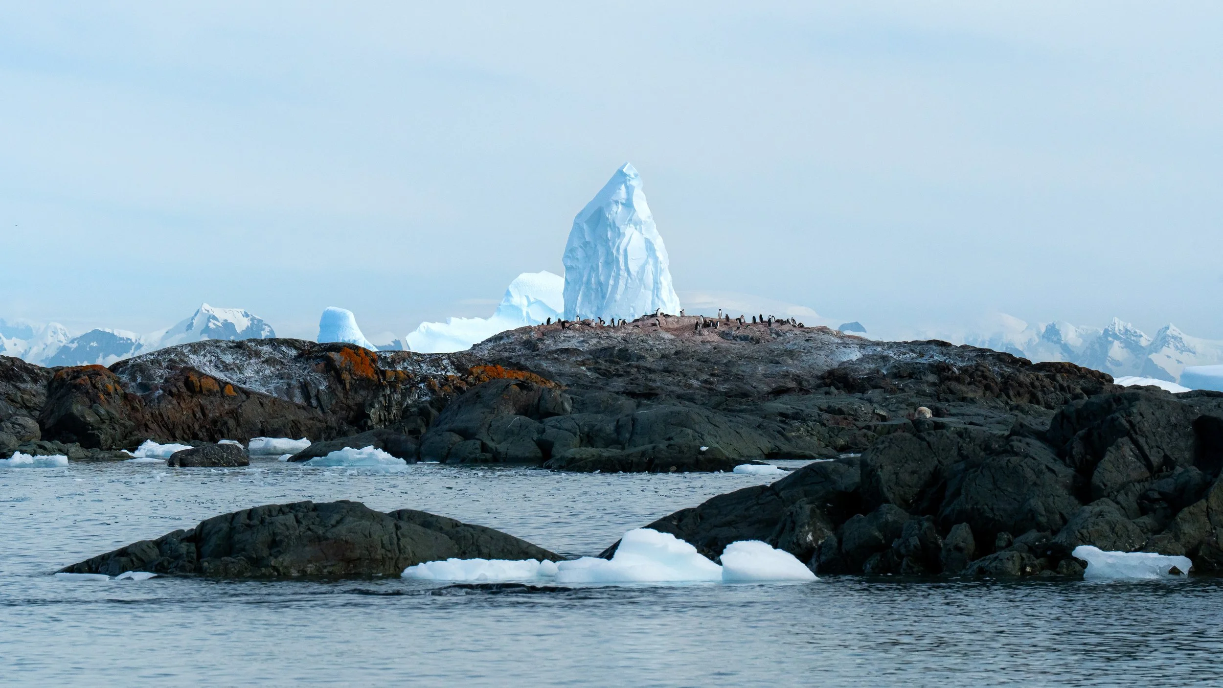 A rocky shoreline with dark rocks, some covered with patches of orange moss, and a calm body of water. In the background, there are large icebergs and a tall, pointed iceberg peak in a cold, icy landscape.