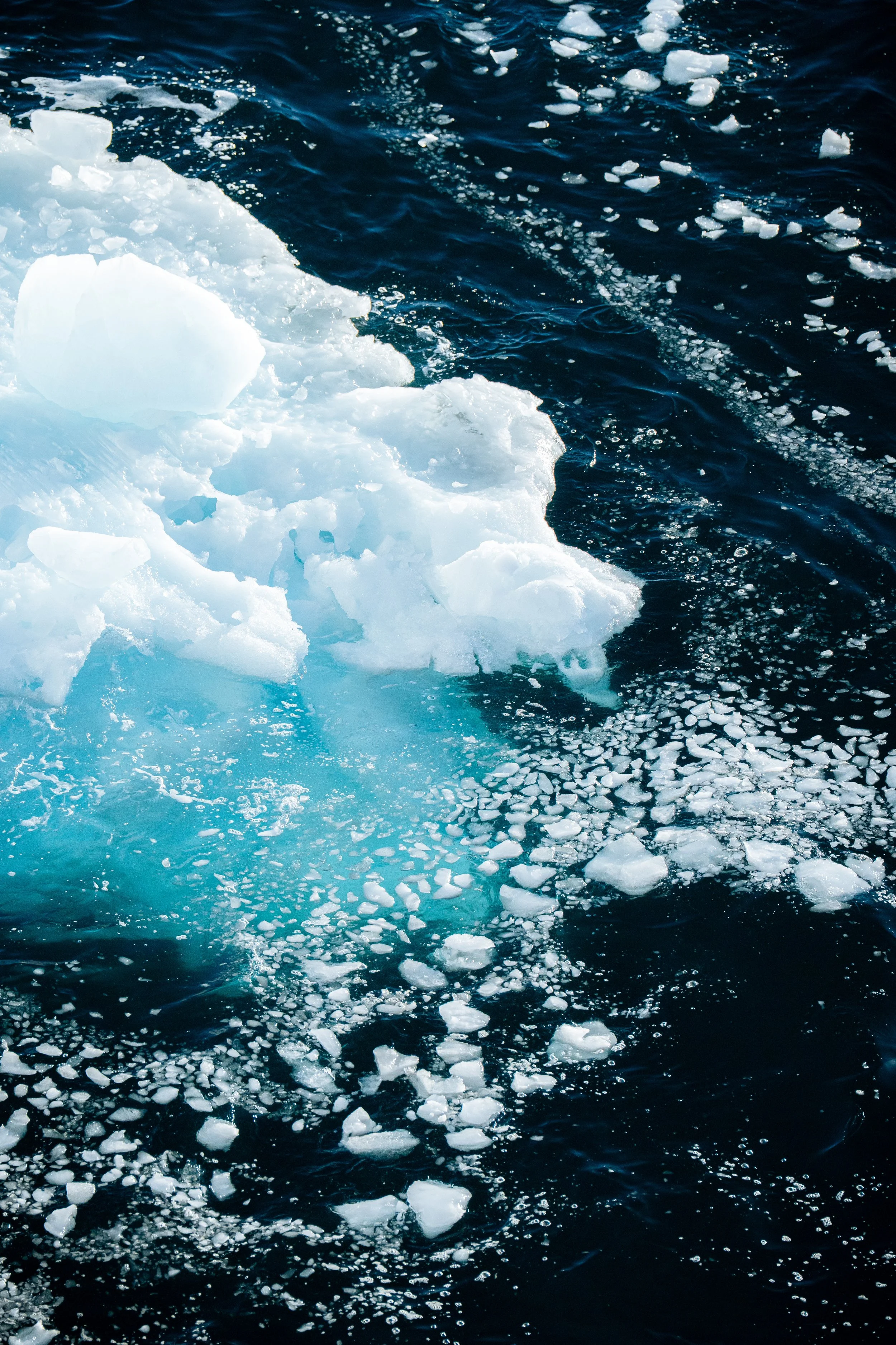 Iceberg floating in dark ocean water with smaller ice chunks and foam around it.