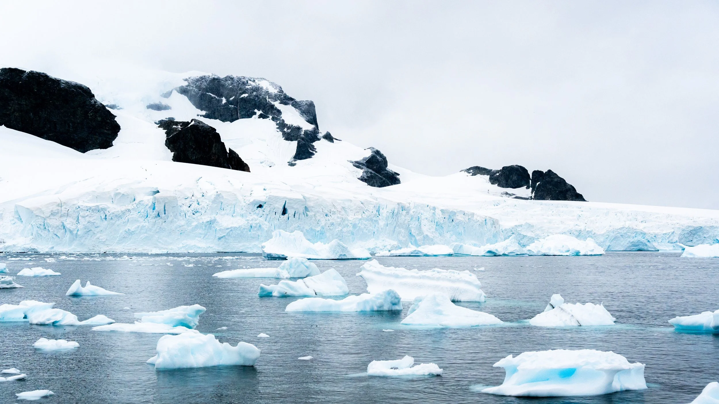 A glacier with snow and ice floating in calm water, with dark rocky mountains in the background under an overcast sky.