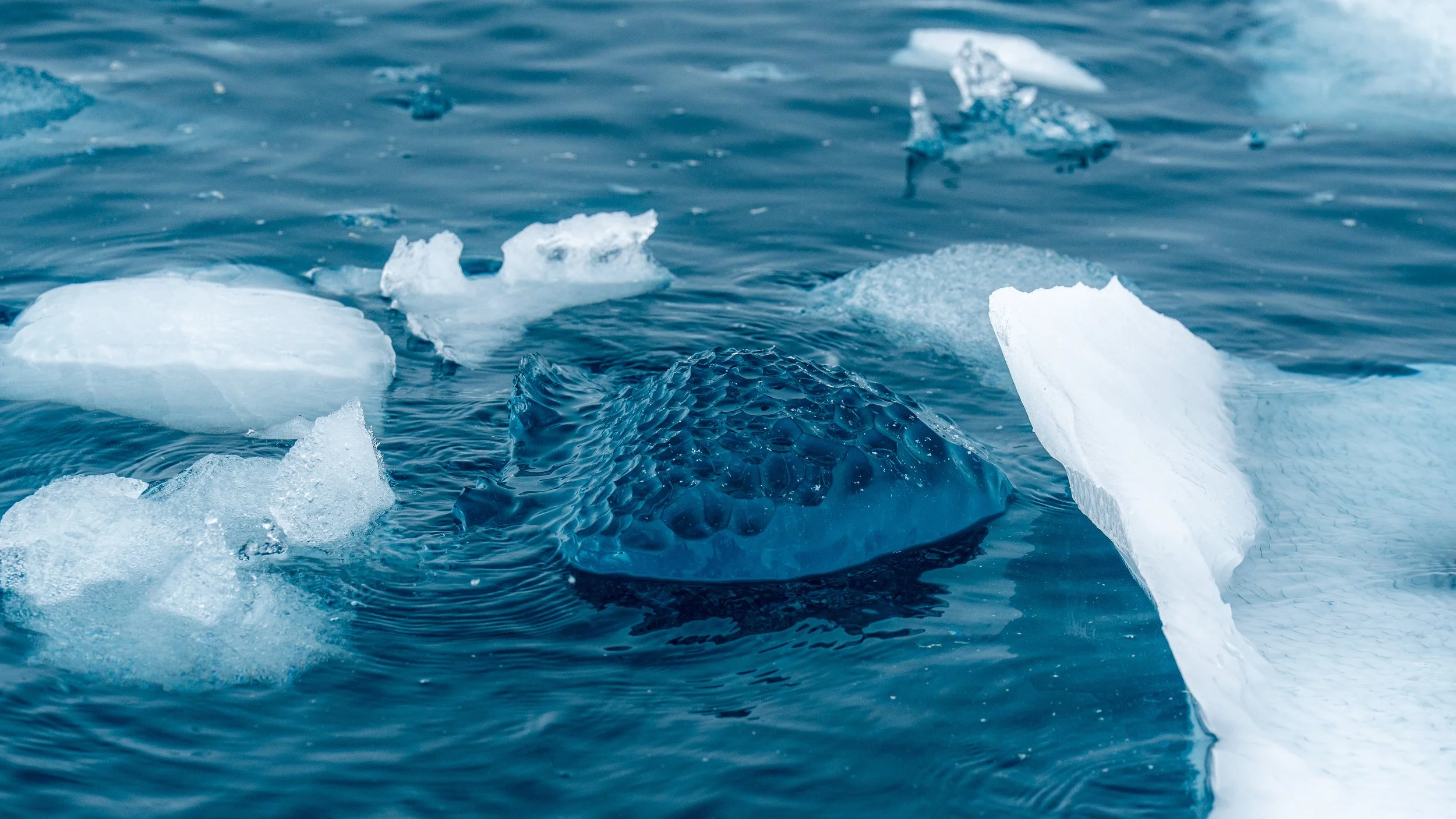 Icebergs floating in cold, blue water.
