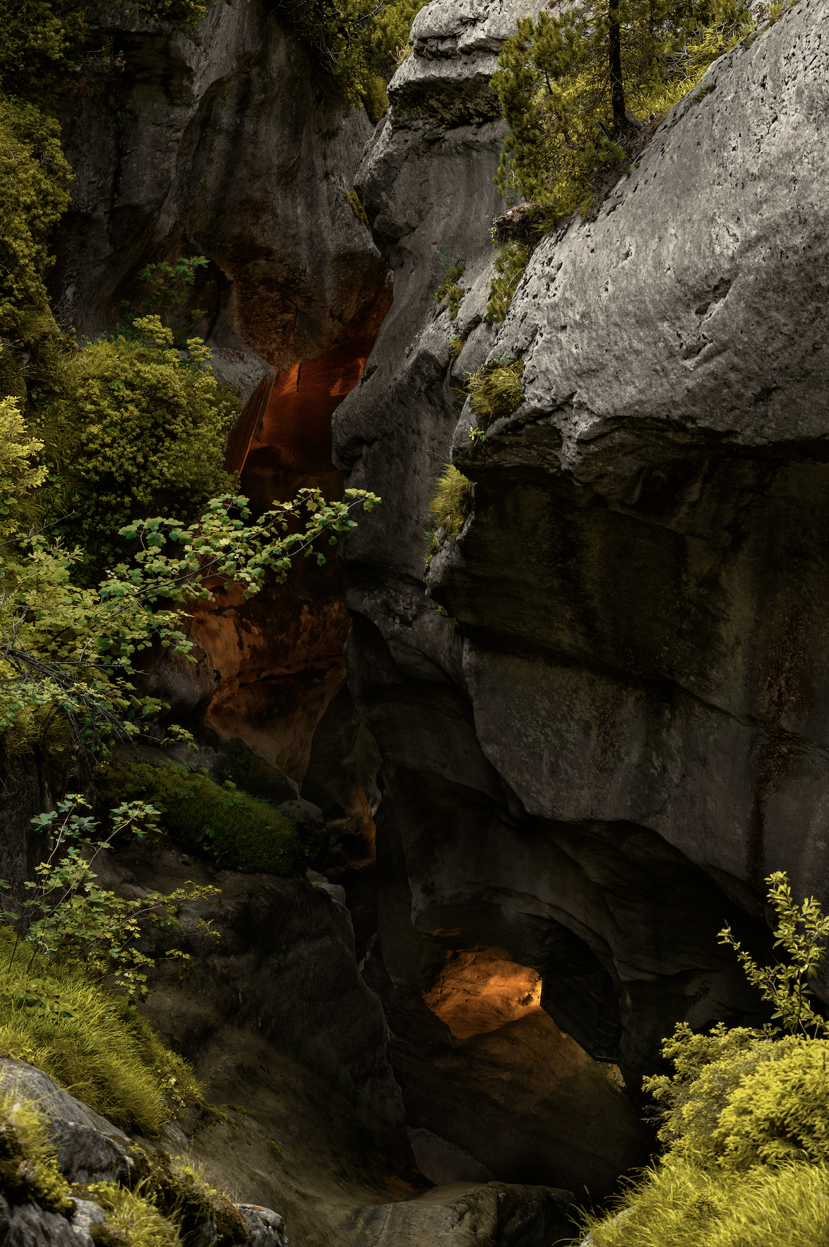 A narrow canyon with tall, gray rock walls and some greenery, including small bushes and trees, growing along the edges and on the rocks.