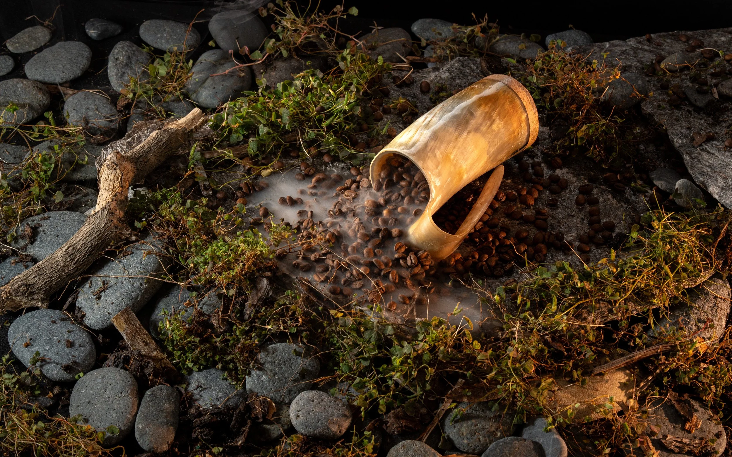 A glass cup lying on its side on a rocky surface with coffee beans spilling out. The rocks are gray and the scene includes some small green plants and twigs.