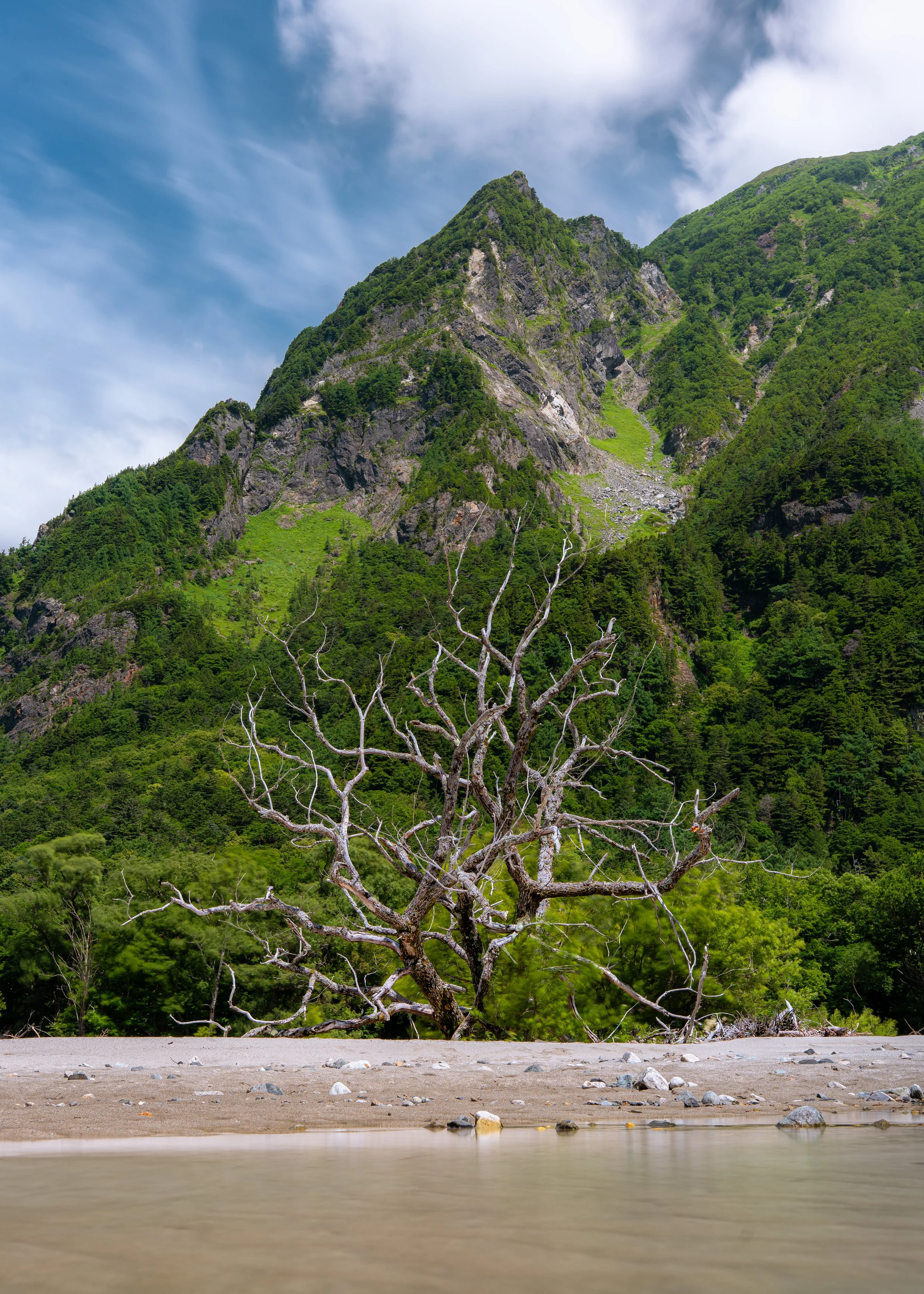 A mountain with a sharp peak covered in green trees, with a blue sky and clouds above. In front, a dry riverbed with scattered rocks and a leafless tree.