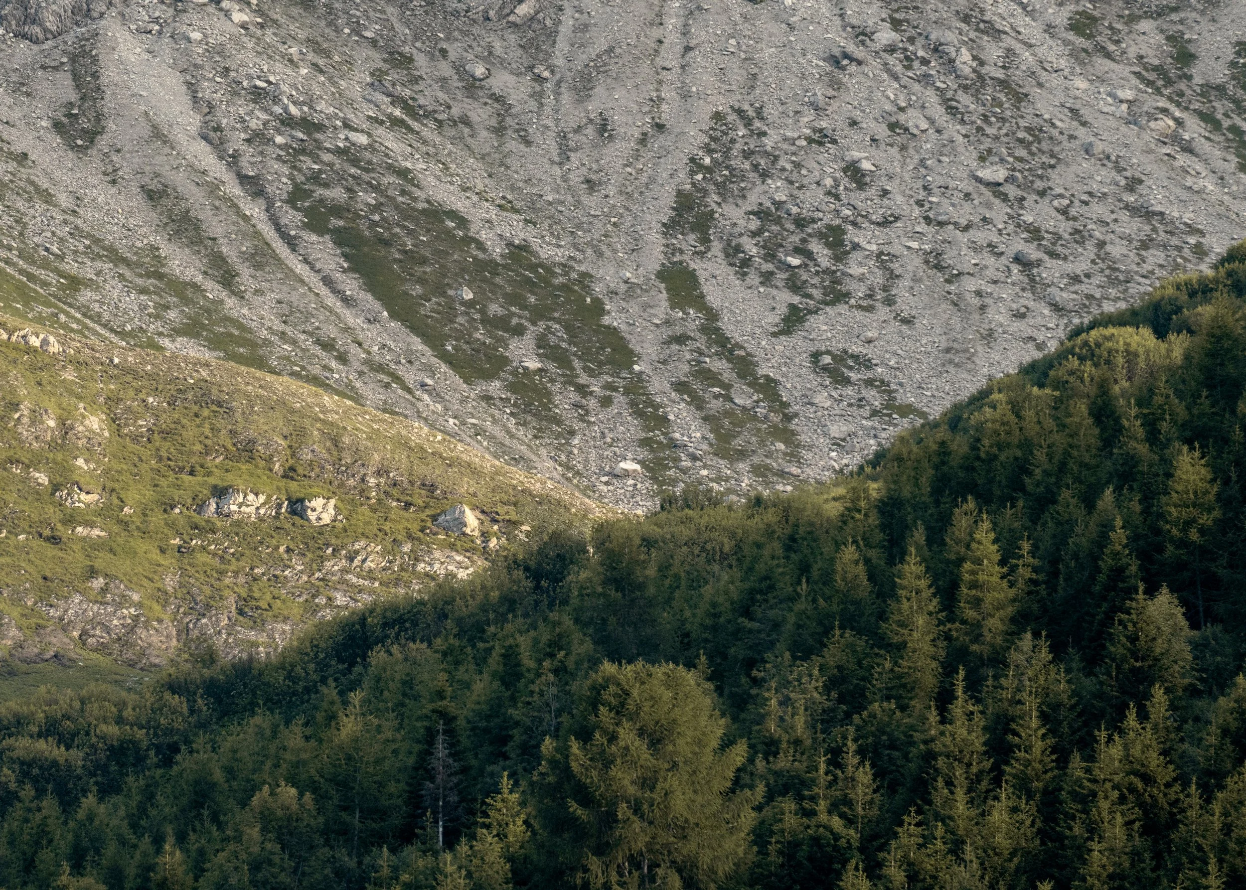 A mountain slope with scattered rocks and patches of green vegetation, forested area at the bottom.
