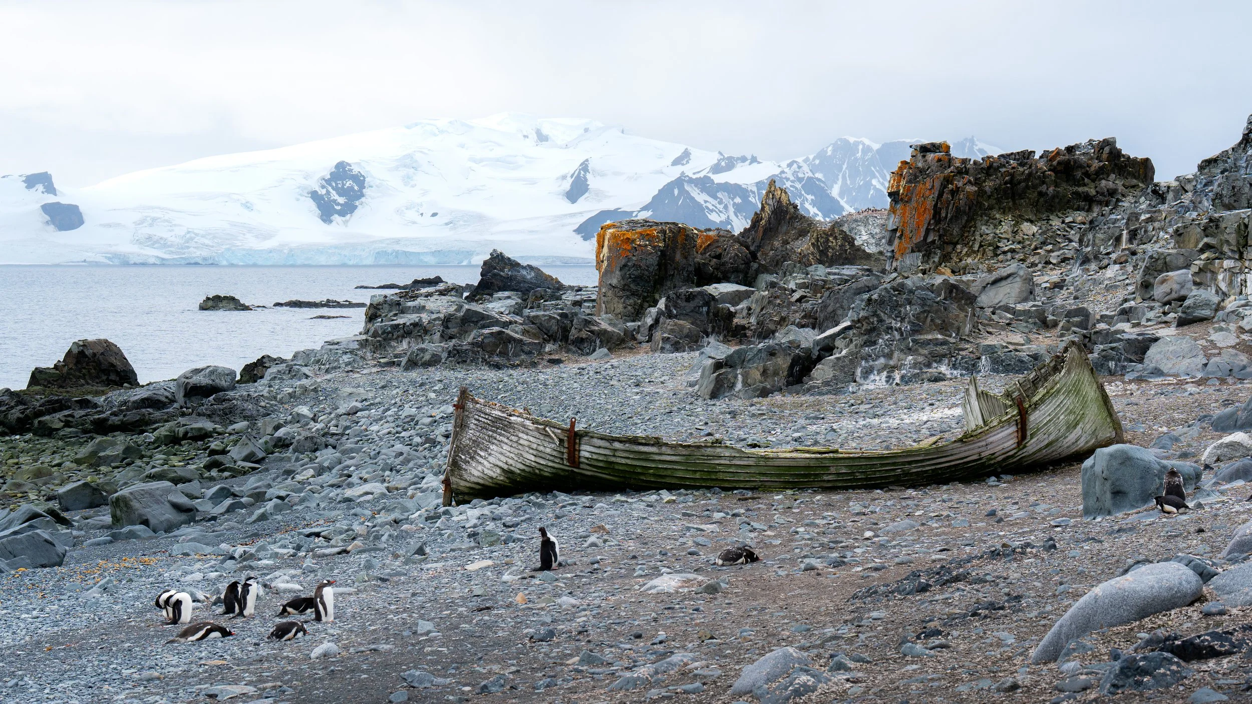A rocky shoreline with a deteriorated boat, penguins walking on the rocks, and snow-covered mountains in the background.
