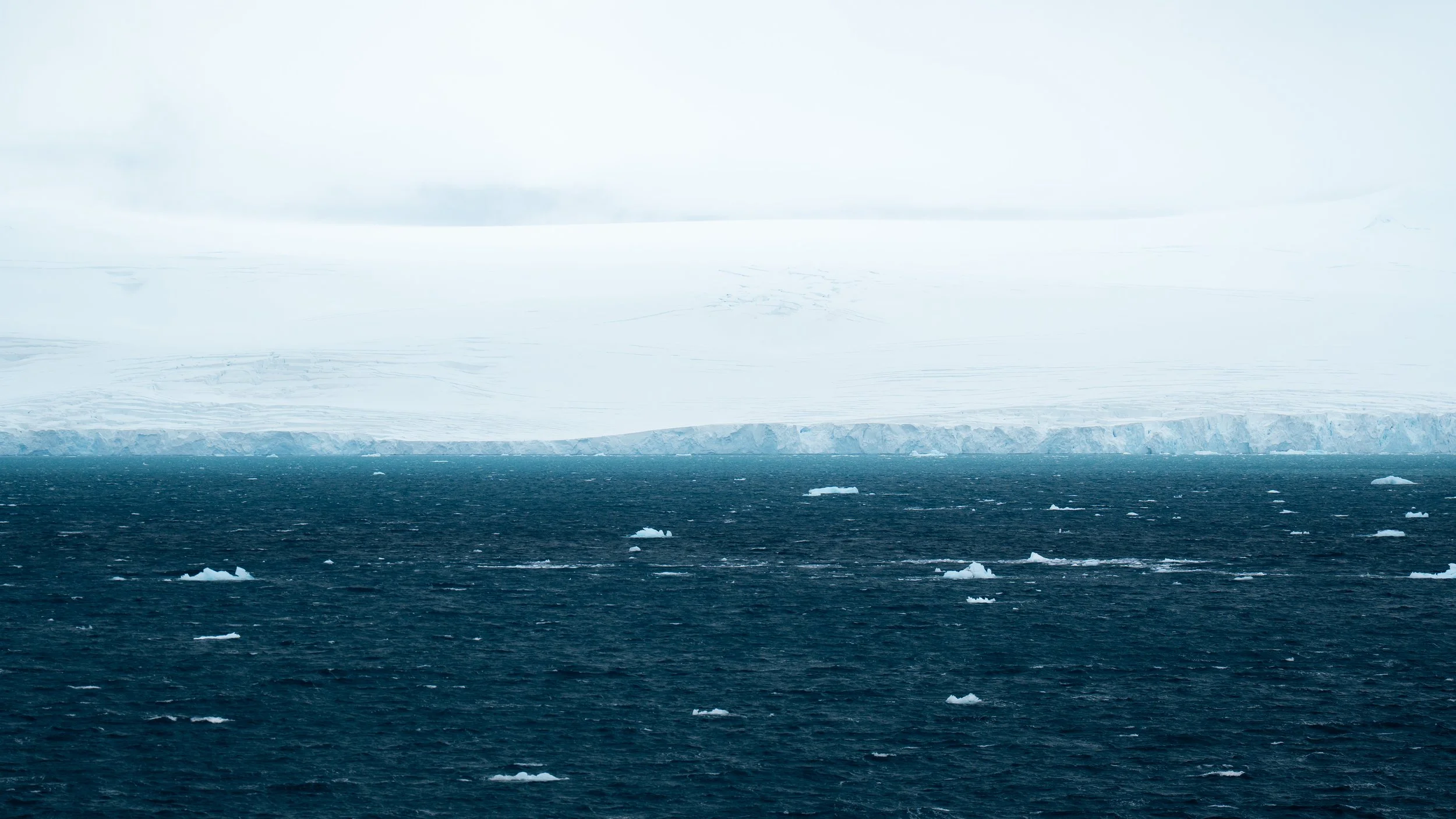 Cold ocean water with floating ice chunks, and a large ice sheet or glacier in the background under a cloudy sky.
