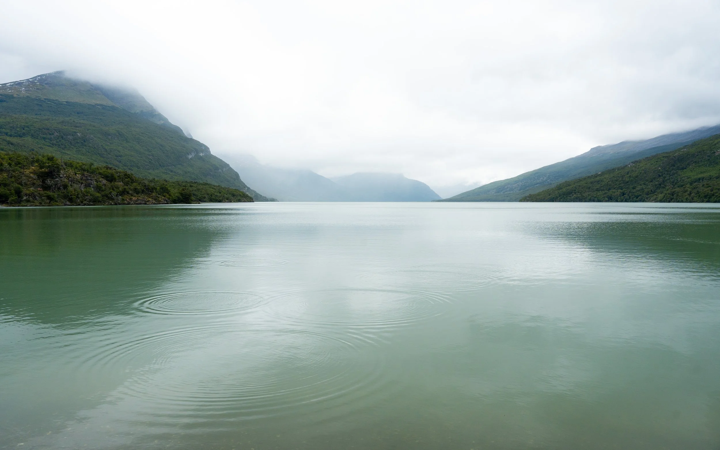 A calm body of water surrounded by green mountains with low clouds and fog in the distance.