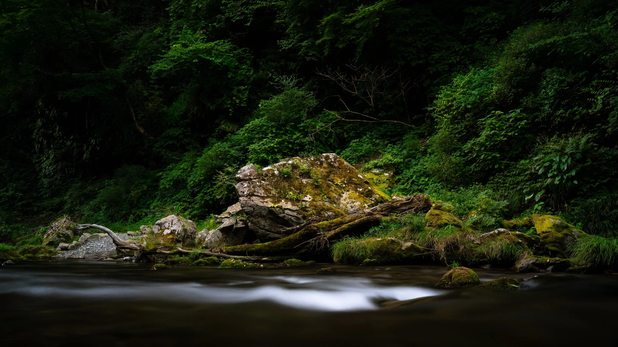 A forest scene with a stream flowing over rocks, surrounded by dense green foliage.