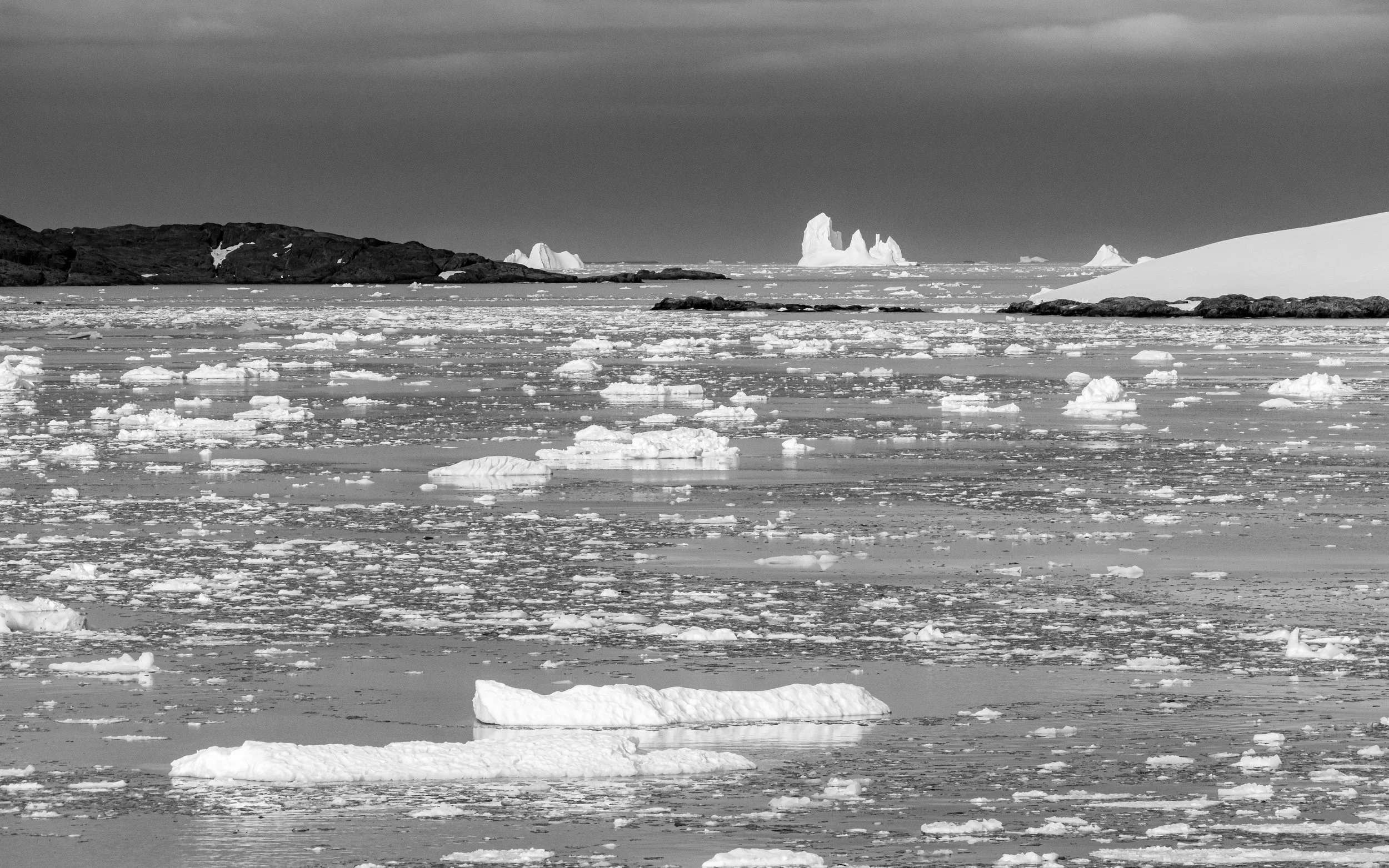 Black and white photo of an icy seascape with icebergs and rocks, under a cloudy sky.