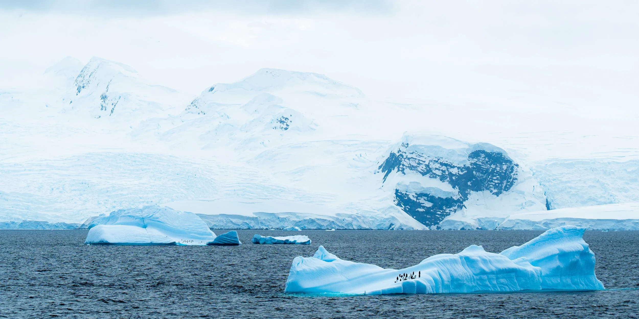 Apolar iceberg floating in dark ocean water with snow-covered mountains and glacier in the background.