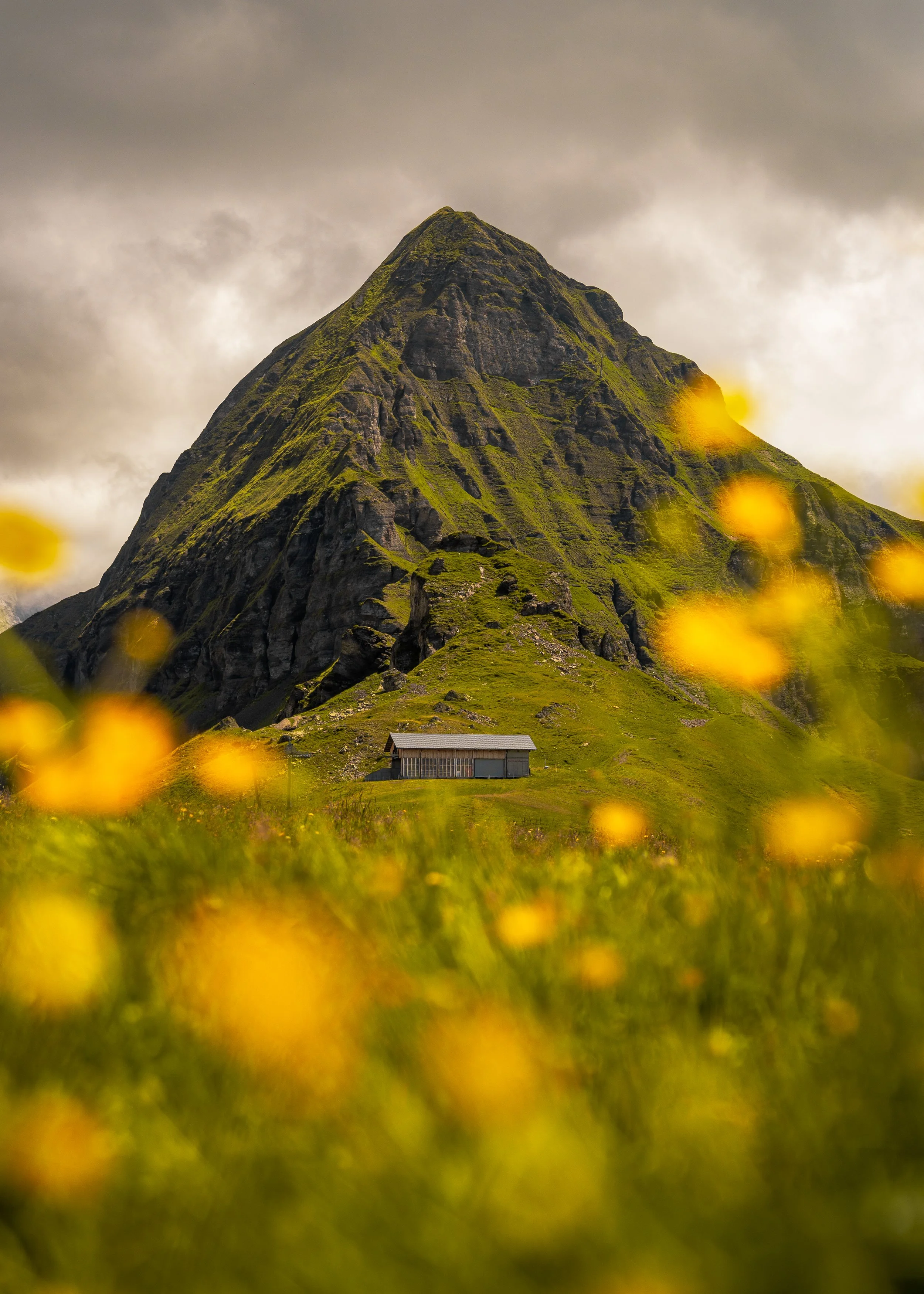 A tall, steep mountain with a grassy and rocky surface against a cloudy sky, with a small house at the base and yellow flowers in the foreground.