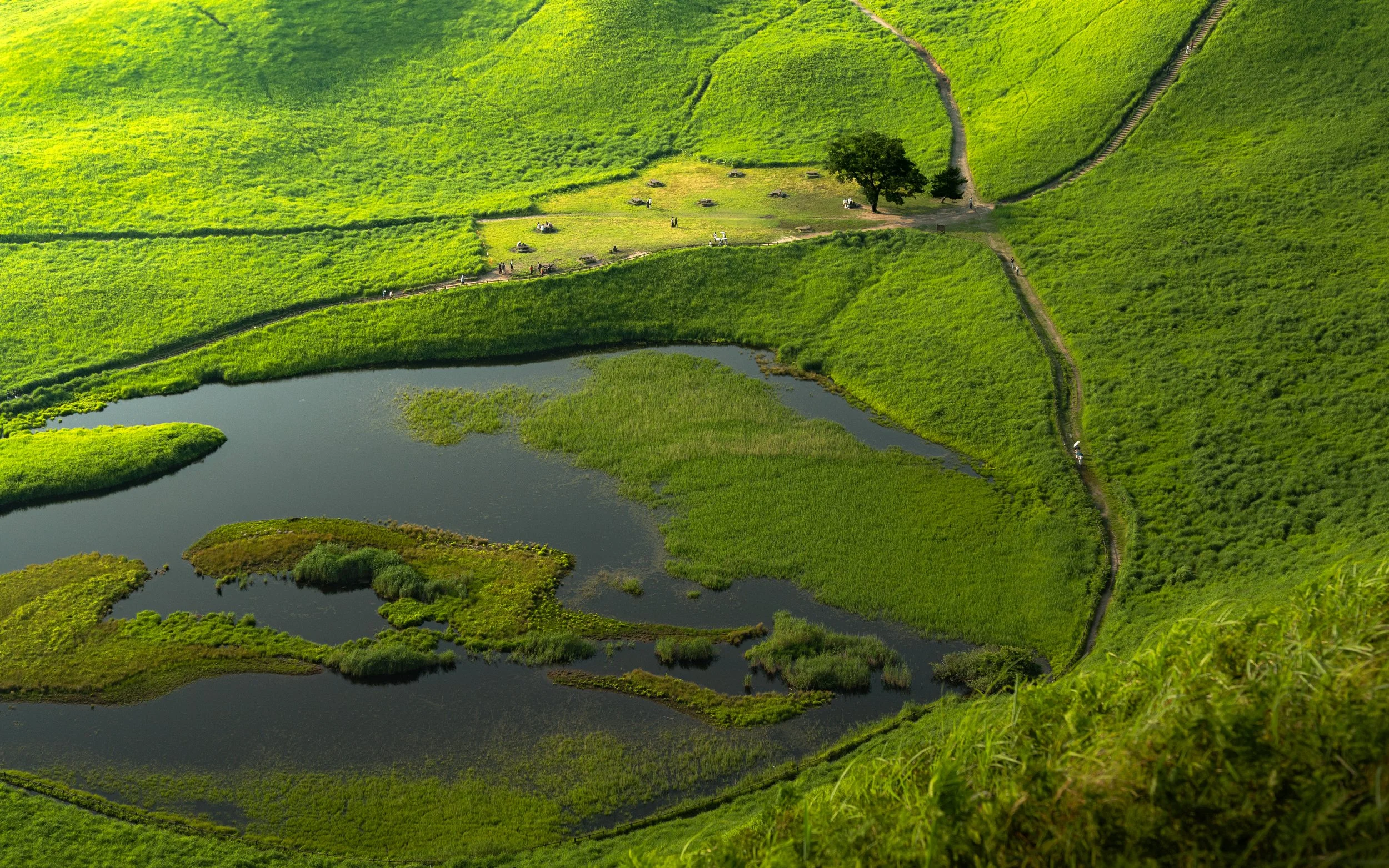 Aerial view of lush green fields, small ponds, walking paths, trees, and scattered people and animals in a rural landscape.