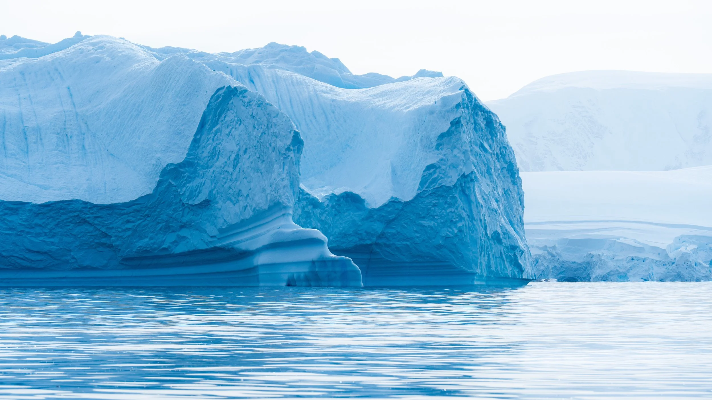 Large blue icebergs floating in calm water with a bright sky.