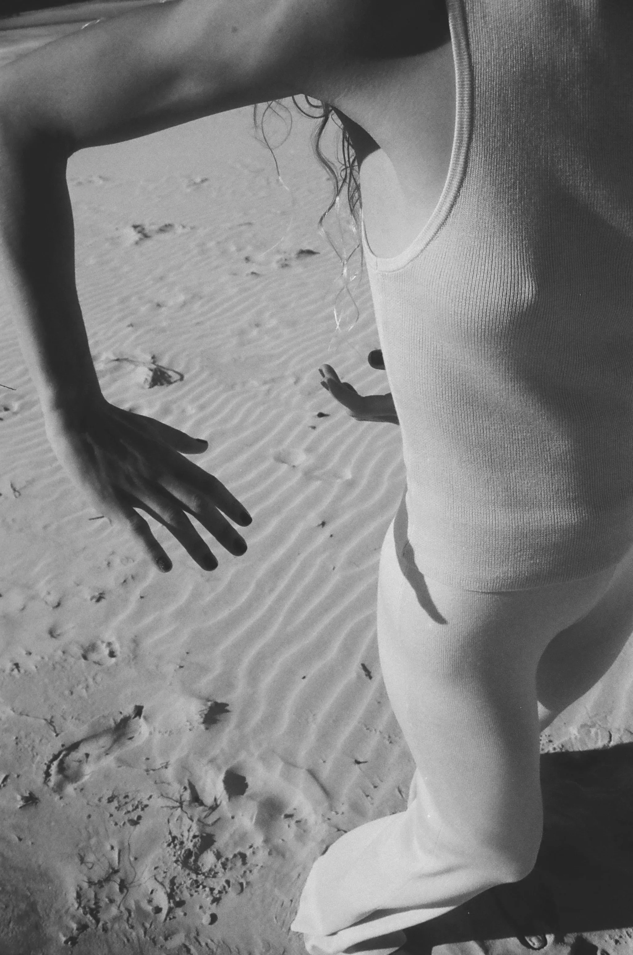 wilder shores_lauravaquero.webp