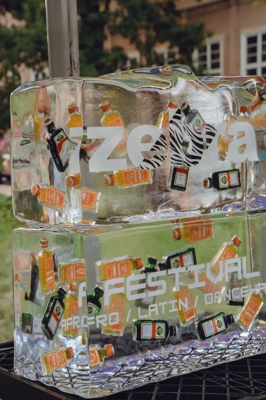 Groß (zebrafestival-DSC01513).jpeg