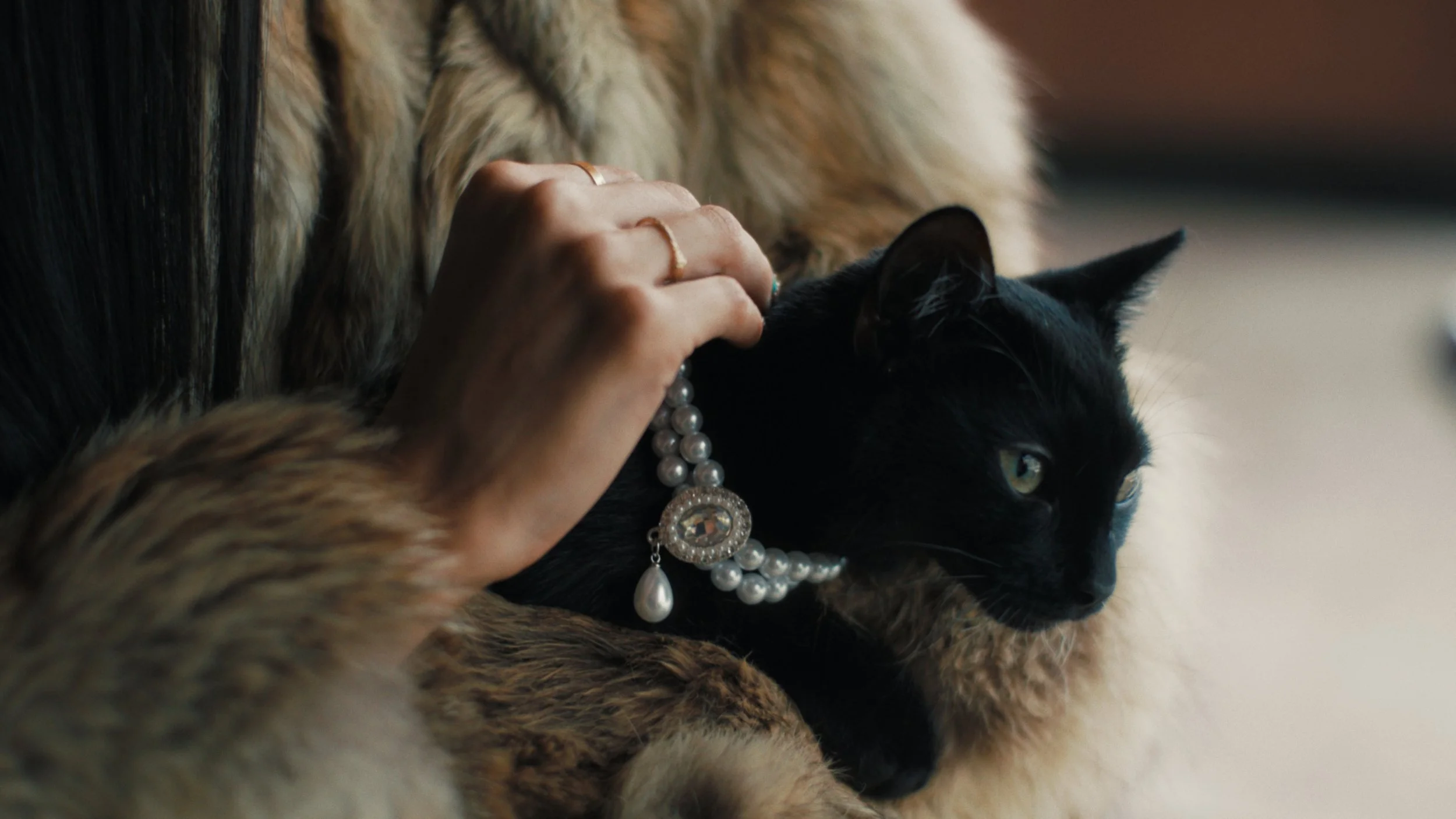 A black cat wearing a pearl necklace with a large pendant, lying on a fur blanket, being gently stroked by a person's hand with rings.