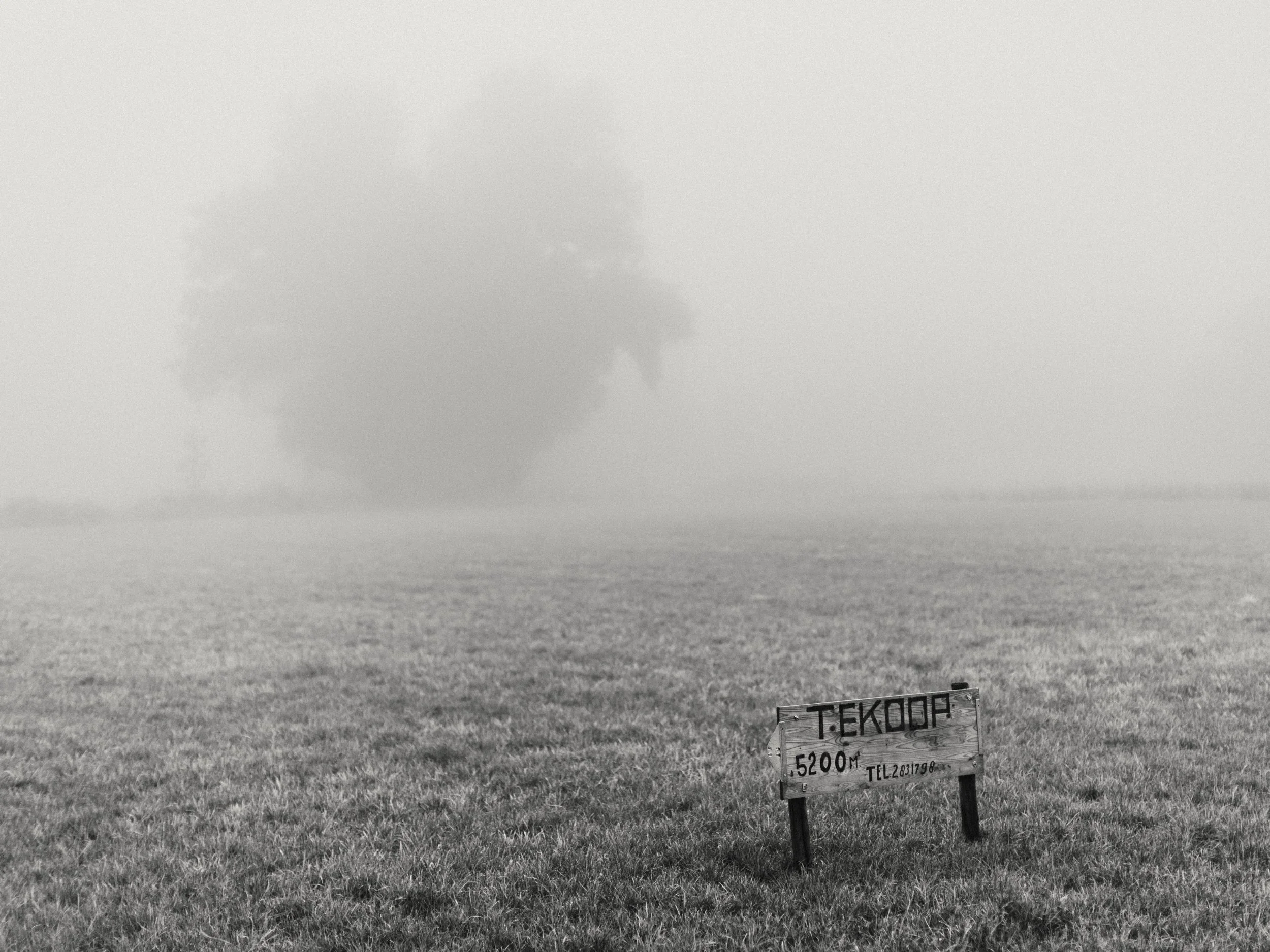 Nuenen, The Netherlands (September, 2022)