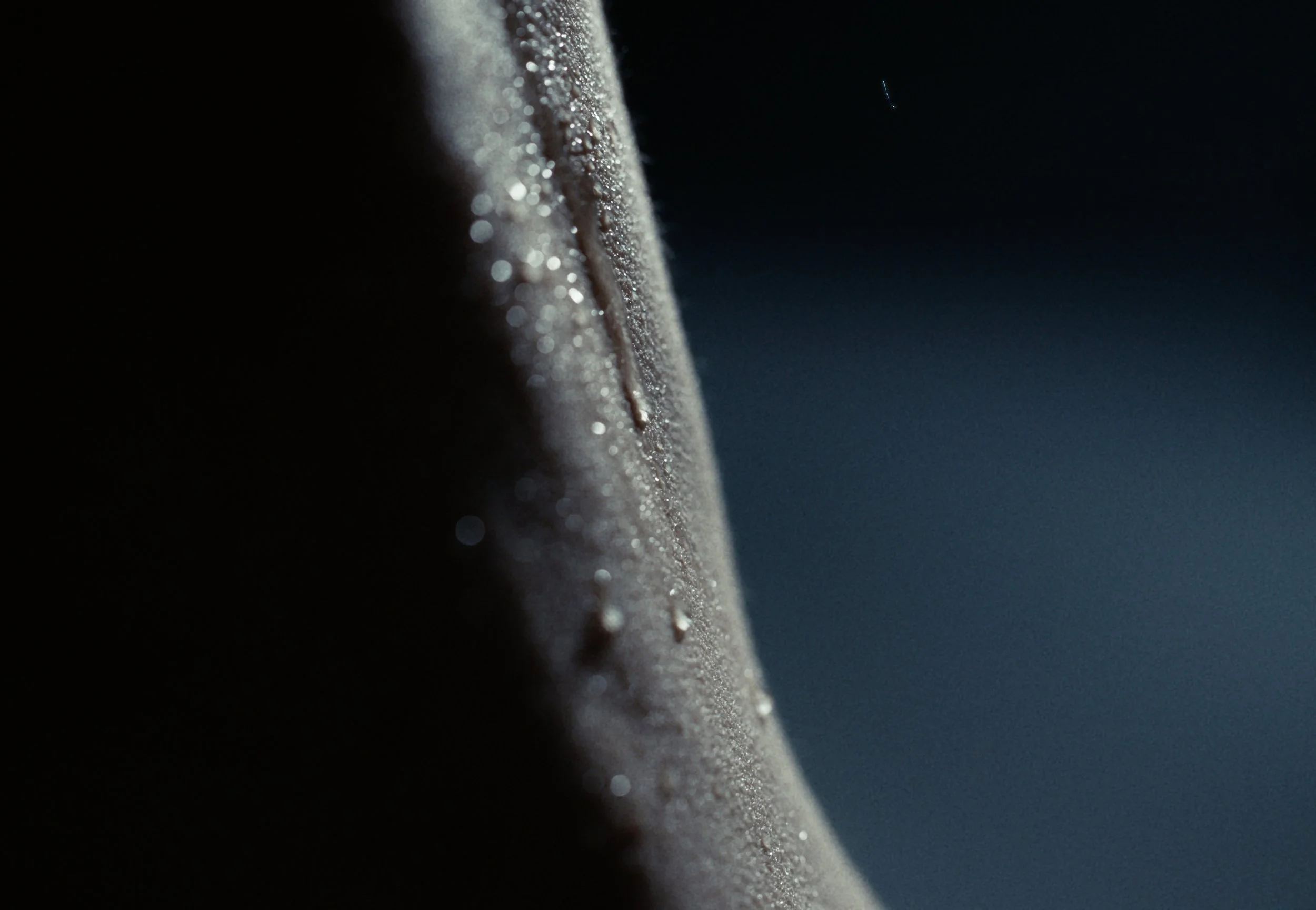 Close-up of a person's face with water droplets on the skin, partially in shadow, against a dark background.