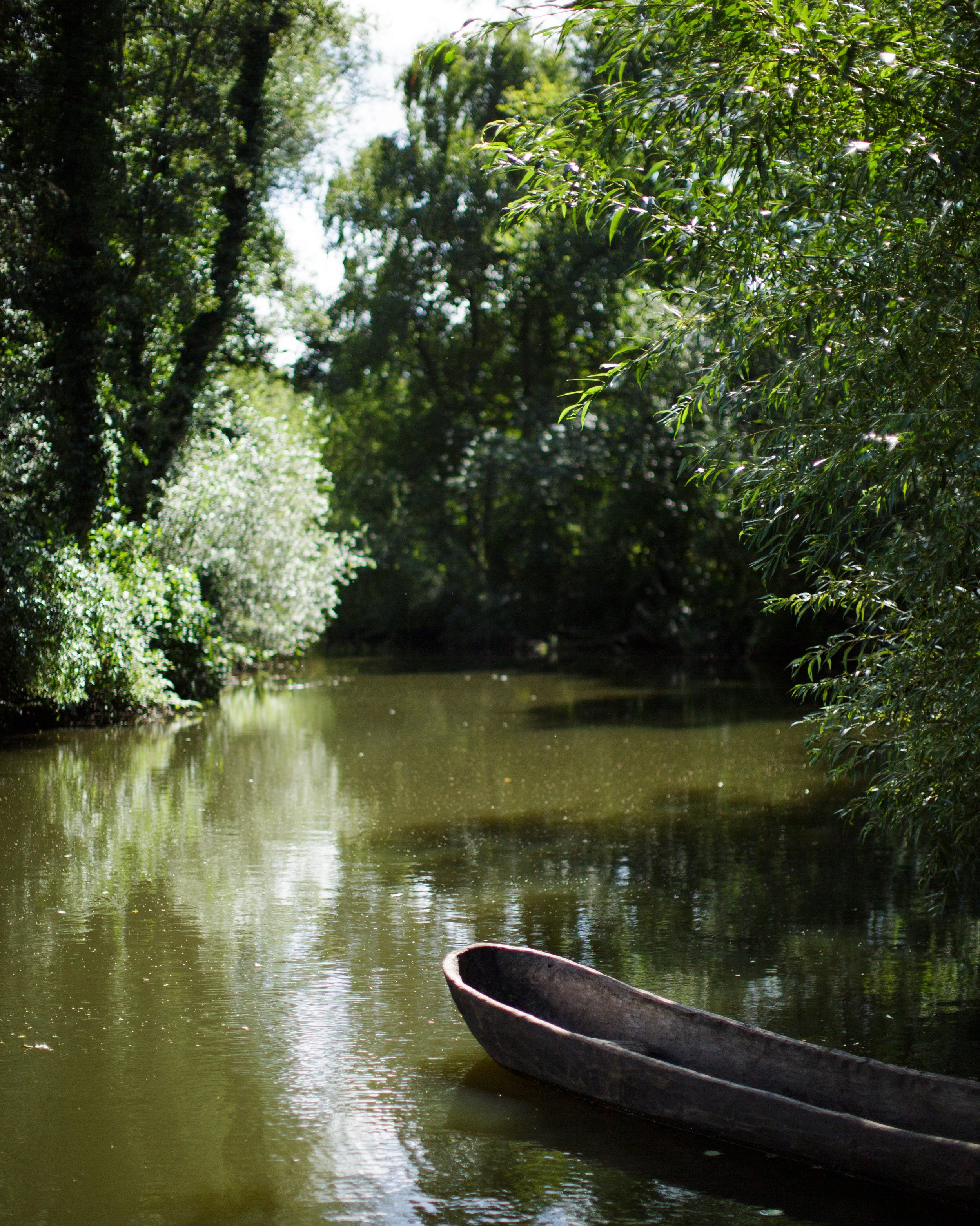 A boat floating on a calm river surrounded by lush green trees, with sunlight filtering through the leaves.