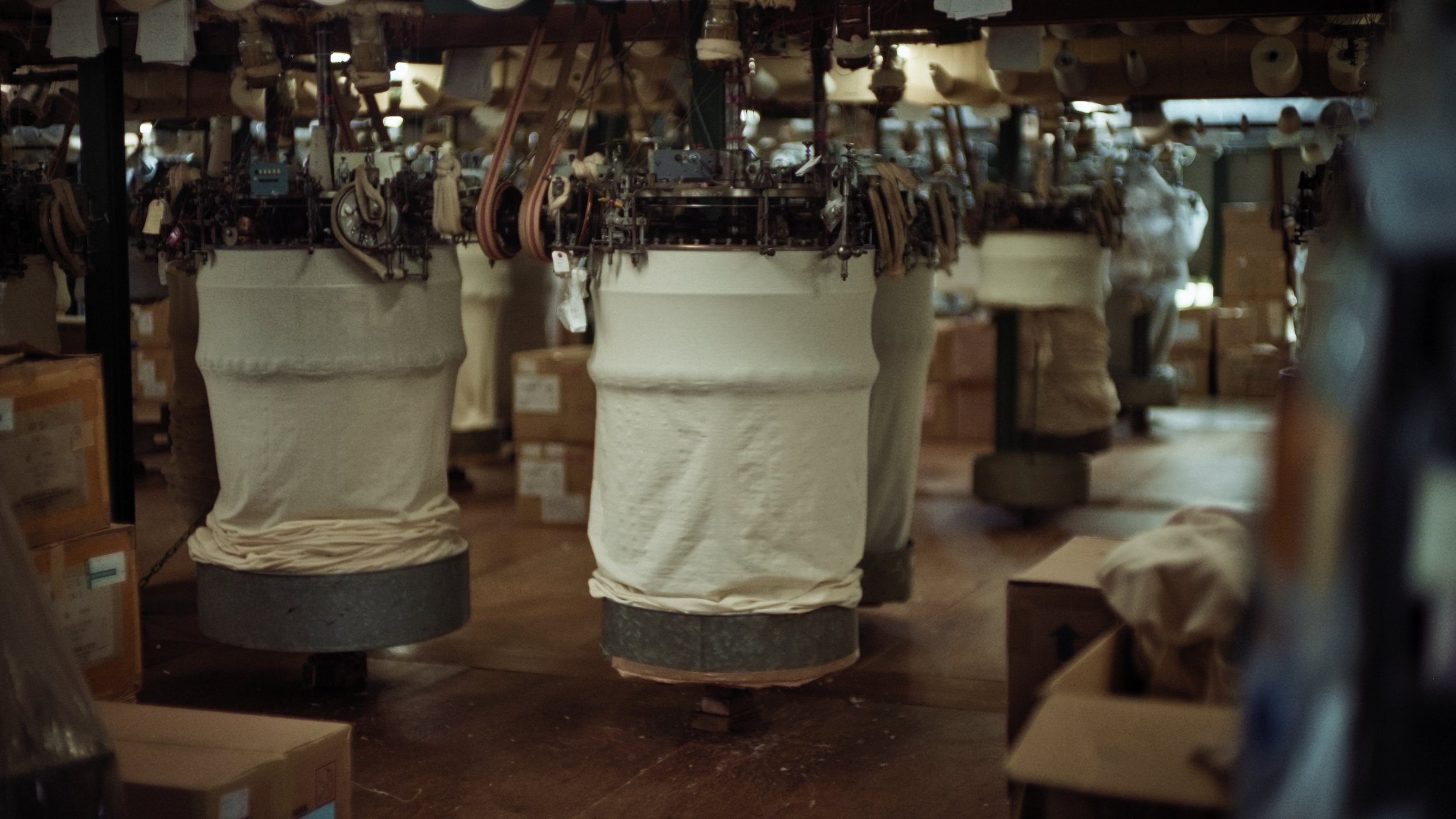 Sculpture molds of classical busts in a workshop, in front of a dark background.