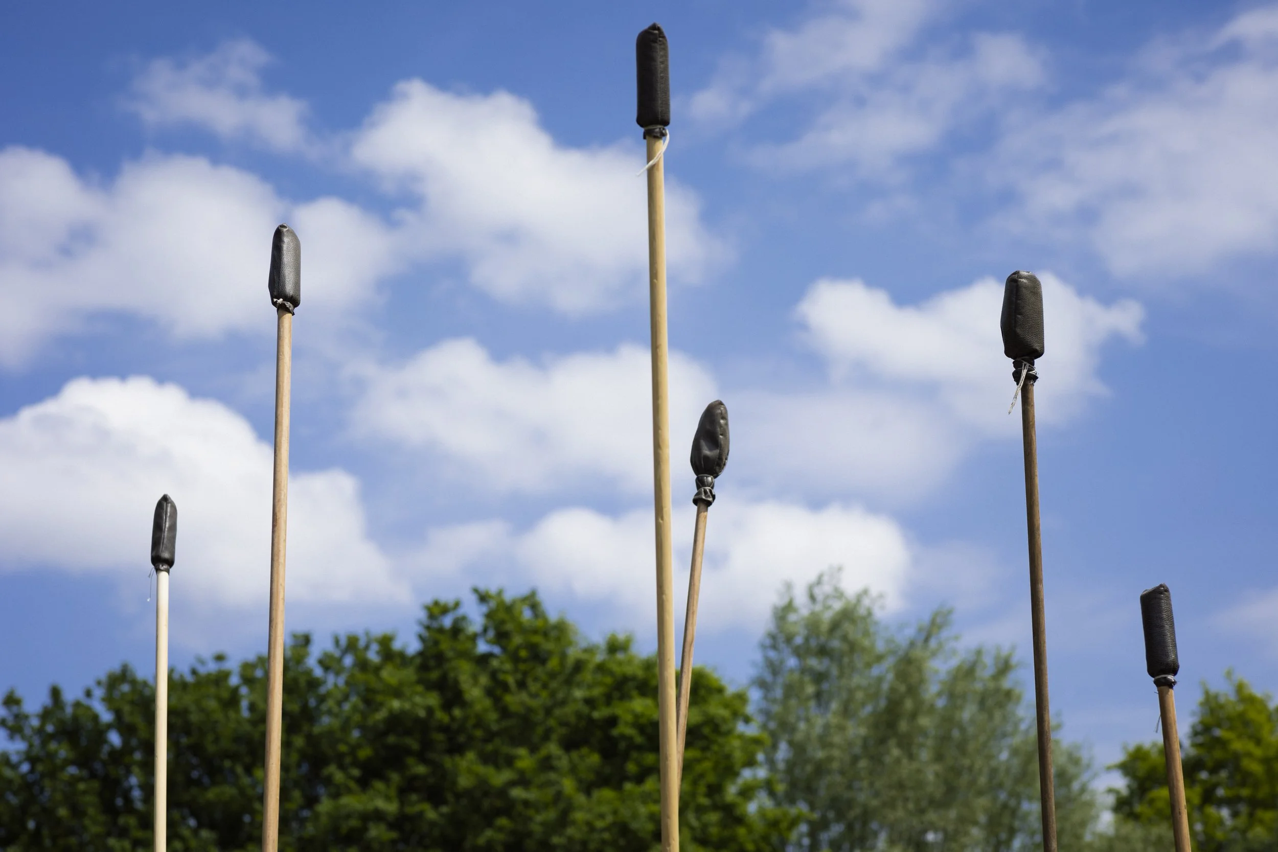Several marshmallow sticks with black marshmallows on top, arranged outdoors with a cloudy blue sky and green trees in the background.