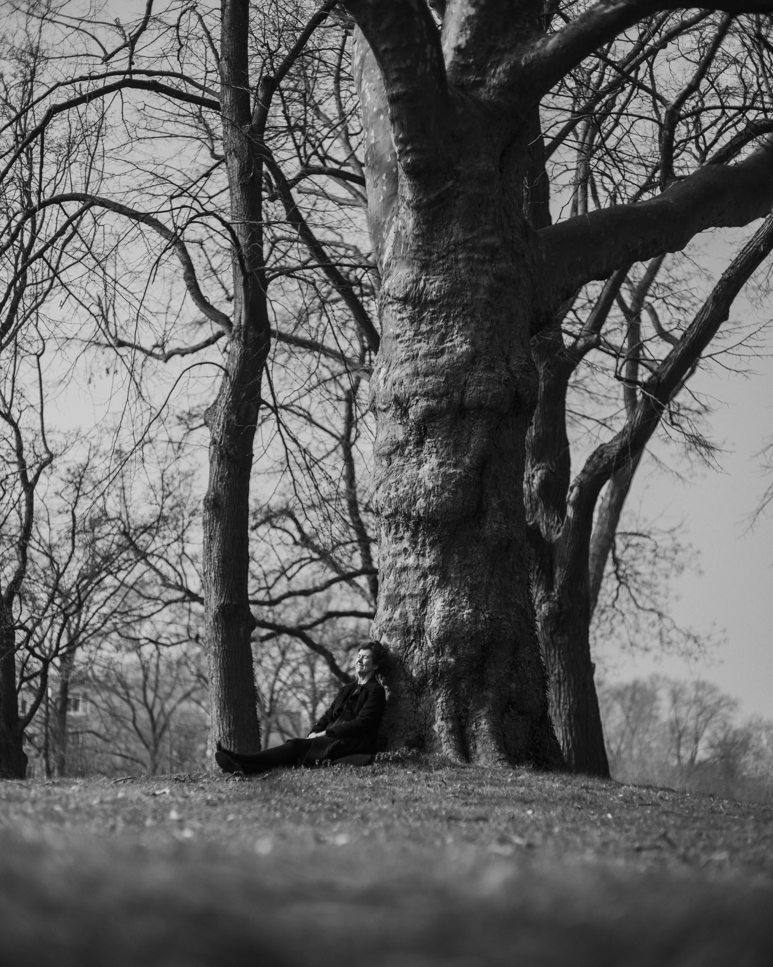 A person sitting under a large tree with bare branches in a park on a cloudy day, black and white photograph