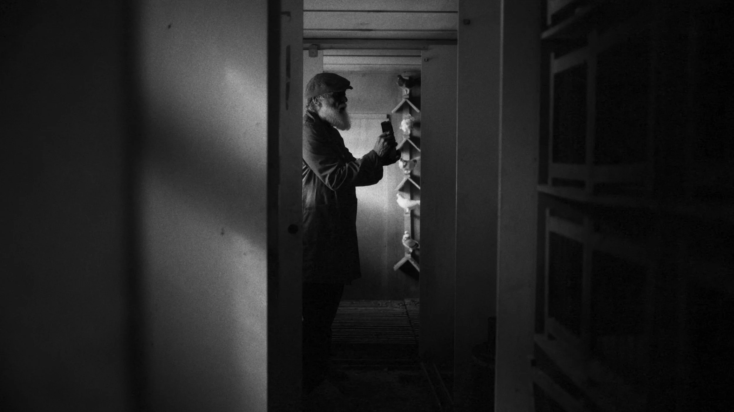 A man with a beard and glasses, wearing a hat, looking at his phone while standing in a storage room or warehouse, arranged with shelves and boxes, in black and white.