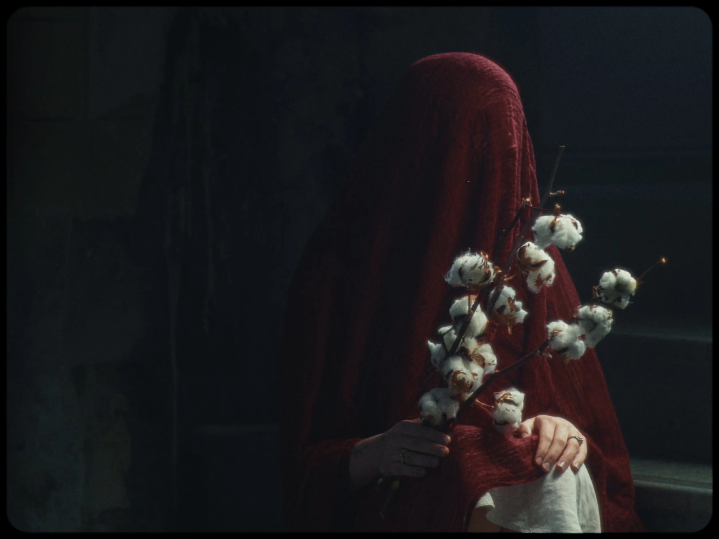 Person in a red velvet hooded cloak holding a branch of cotton flowers, sitting with their hands clasped in their lap. The background is dark and plain.