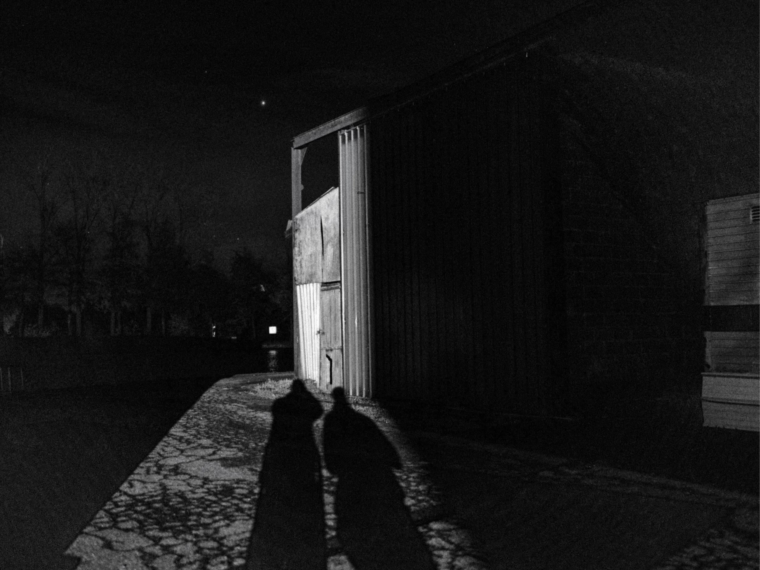 Nighttime scene showing a dark wooden building, leafless trees, and two cats casting shadows on a gravel path.