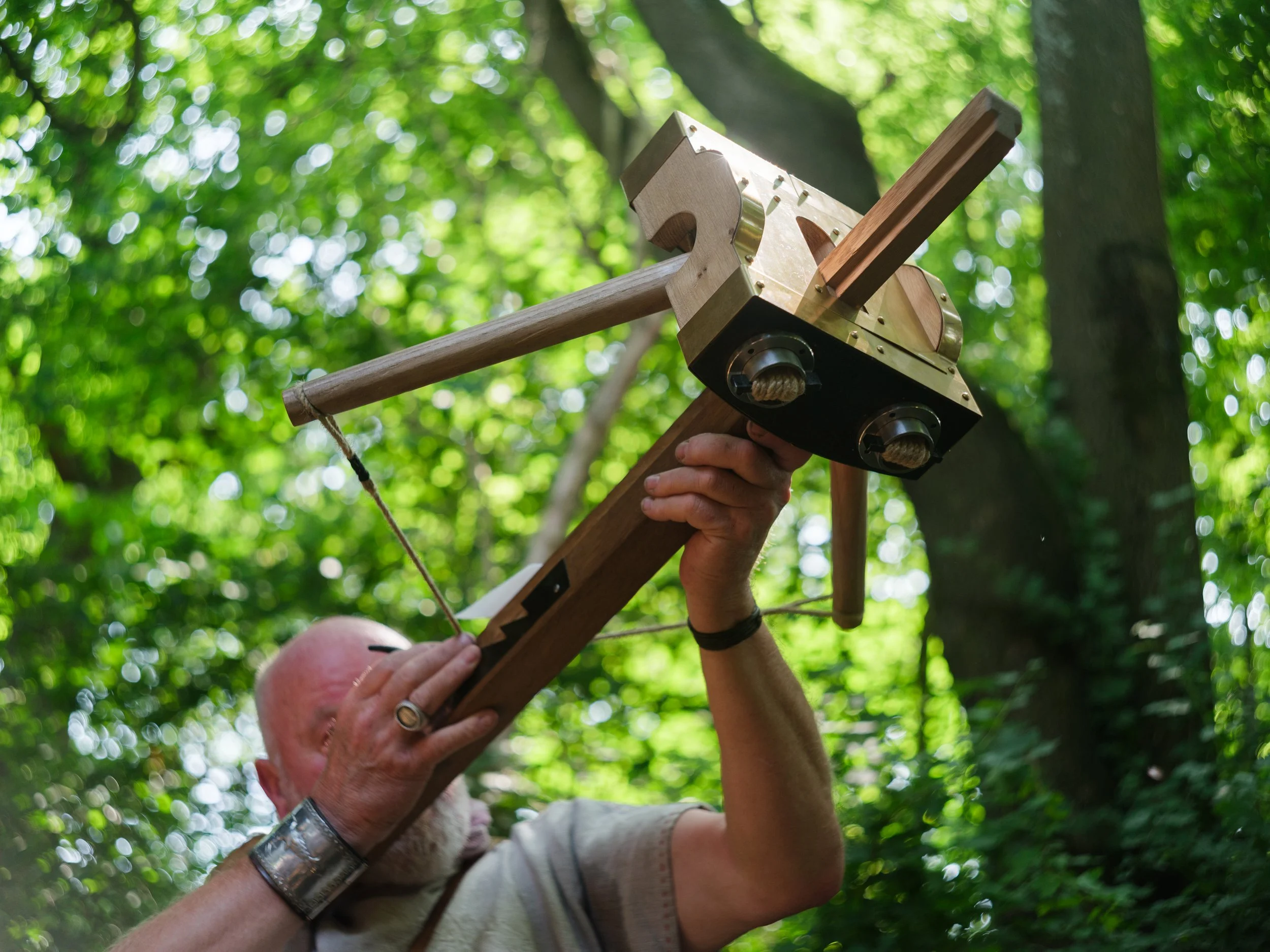 An elderly man with a bald head and a white beard installing a birdhouse on a tree in a forested area, surrounded by lush green leaves and sunlight filtering through.