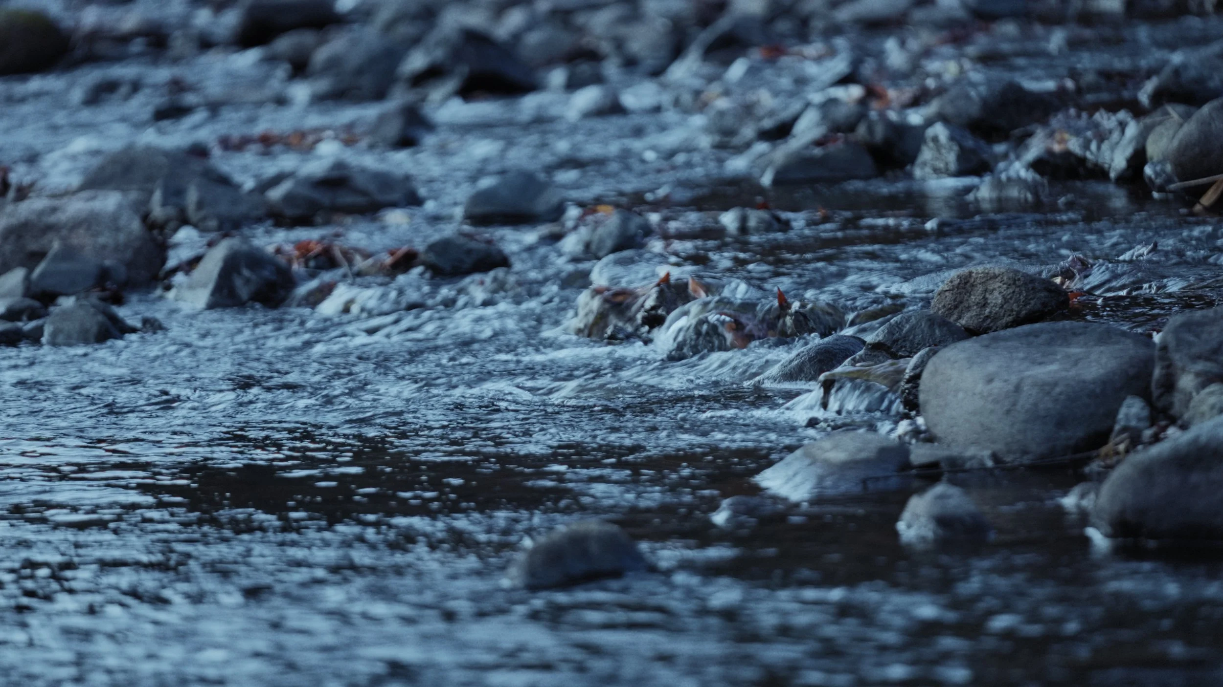 A close-up of a rocky stream with water flowing over rocks in a natural outdoor setting.