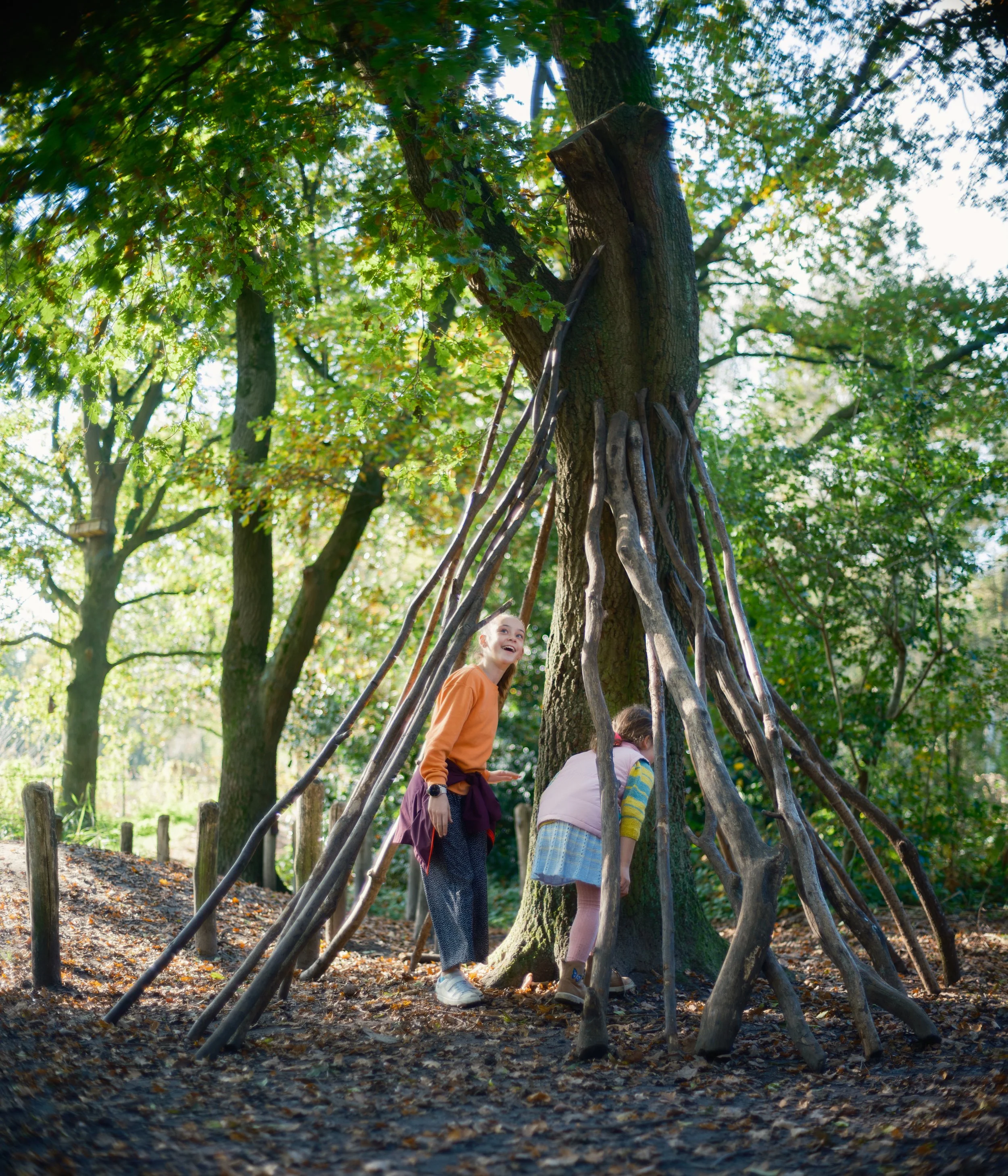 Two children climb a tree in a wooded park, with trees and fallen leaves on the ground, sunlight filtering through the green leaves.