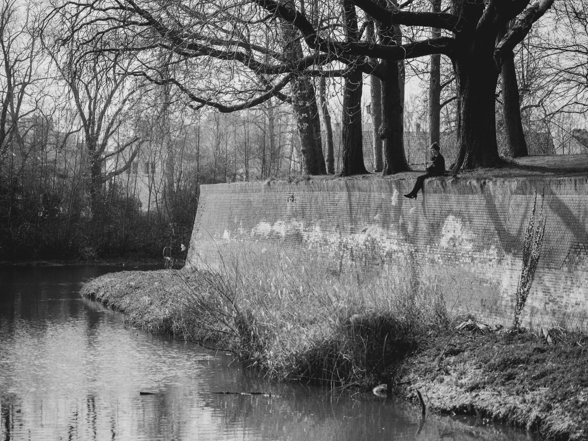 Black and white photo of a park scene with leafless trees, a brick wall, and a person sitting on the wall near the trees, fishing.