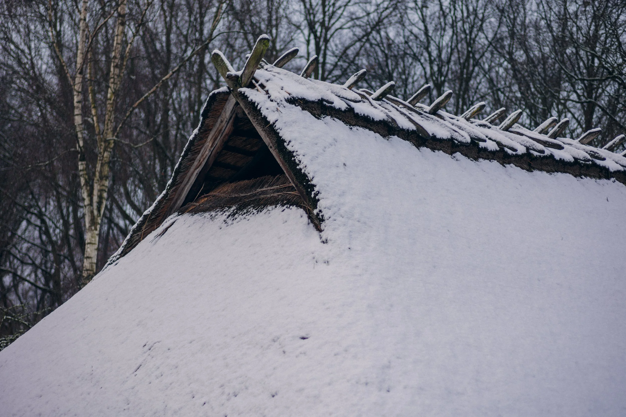 A snow-covered rooftop with wooden beams and a background of leafless trees.
